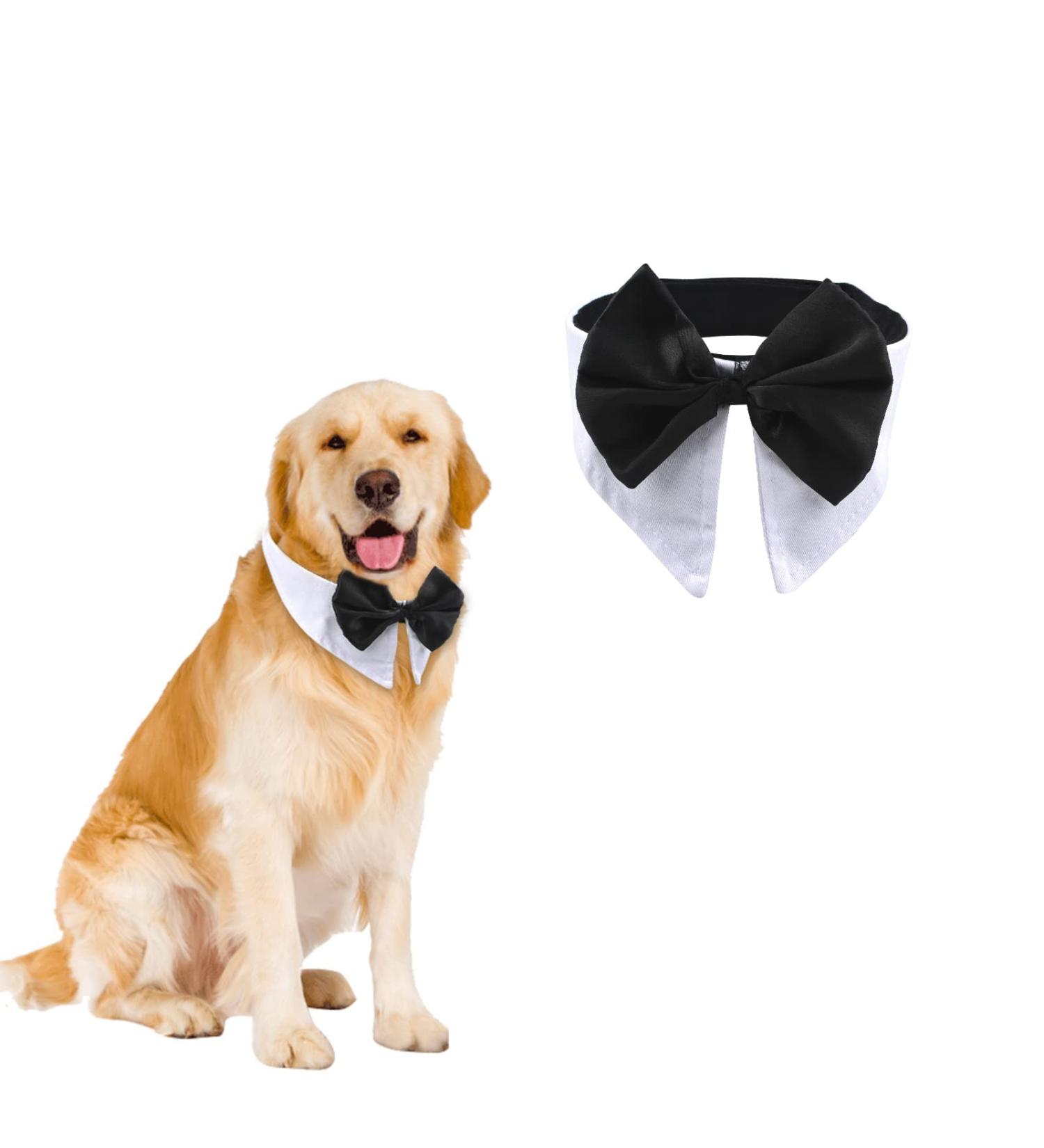 Hacraho Formal Pet Fly Collar - Adjustable White Tuxedo Costume for Medium & XL Dogs | Perfect for Weddings & Birthdays - Buy Online on GoSupps.com