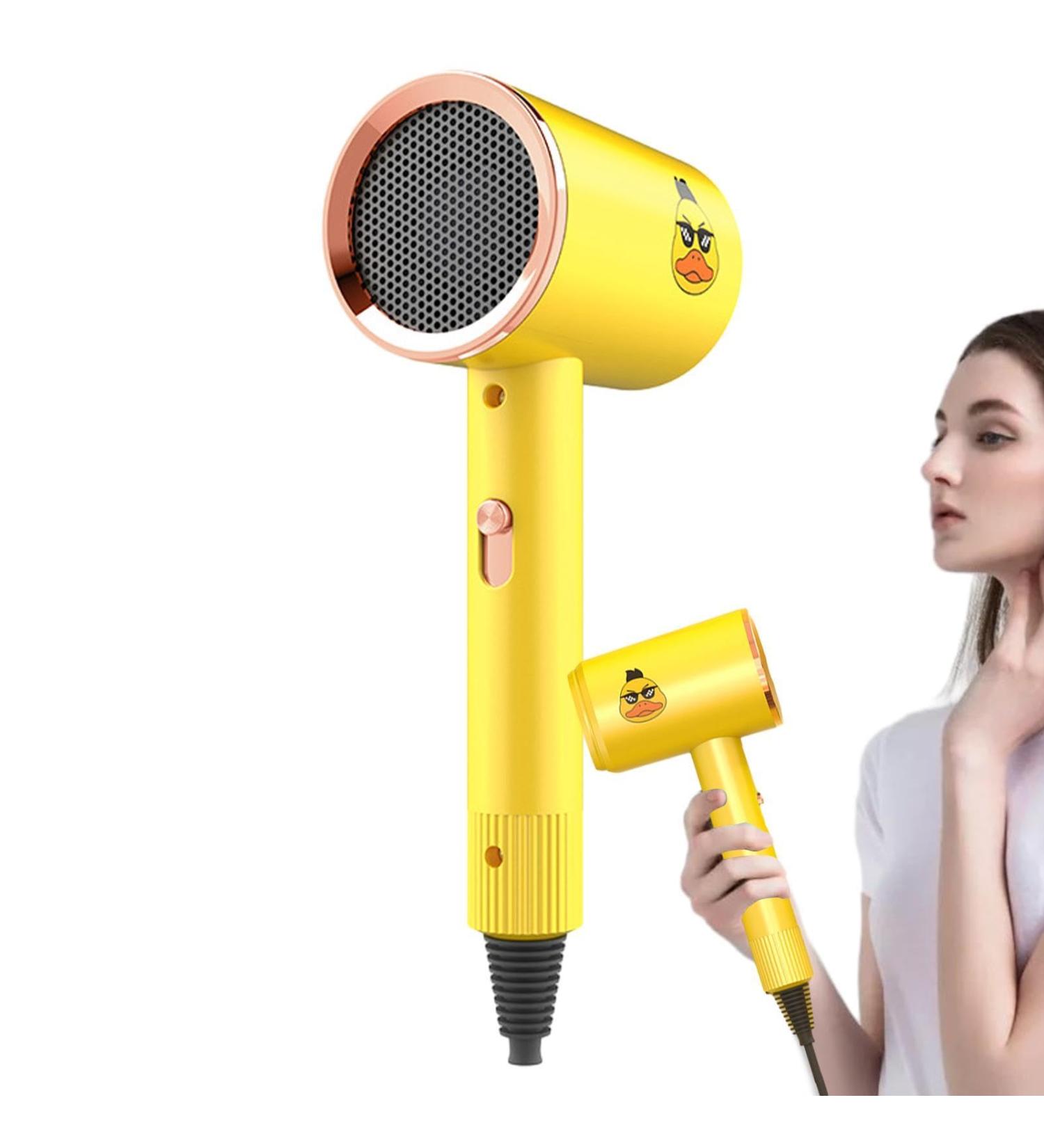 Quiet Hair Dryer - Portable Ionic Hair Dryer | Professional Salon Ions Hair Dryer | Blow Dryer | Ionic Hair Dryer With Diffuser | Cool Hair Dryer Very Suitable For Family Salon And Travel - Buy Online on GoSupps.com