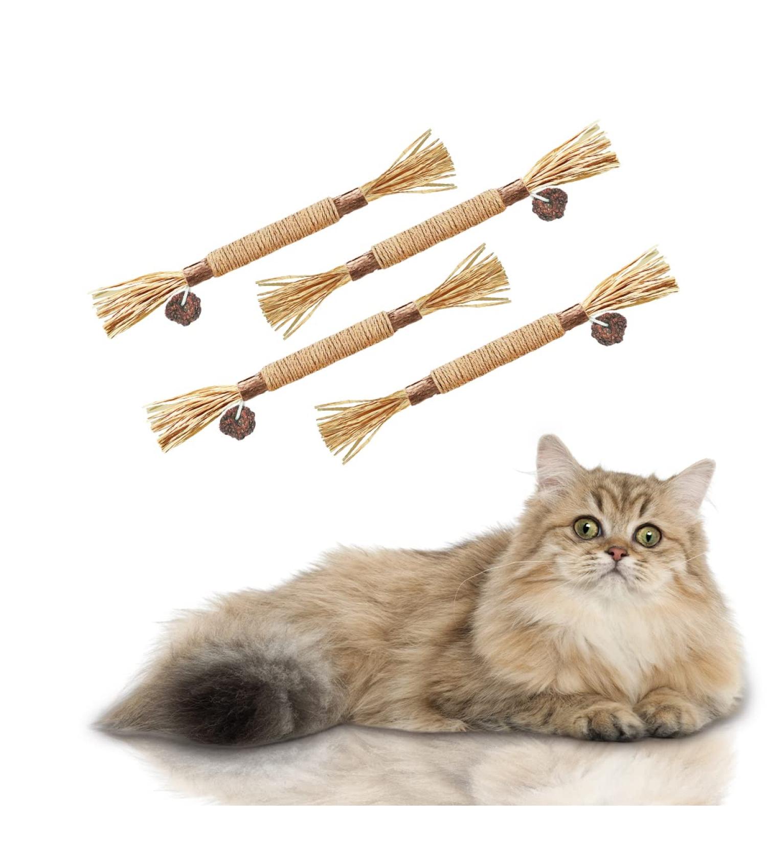 AGYM Cat Silvervine Stick Toy Set - Natural Chew Toys for Cats | Promotes Dental Health, Relaxation, and Digestion | Non-Addictive and Safe | 4 Pack - Buy Online on GoSupps.com