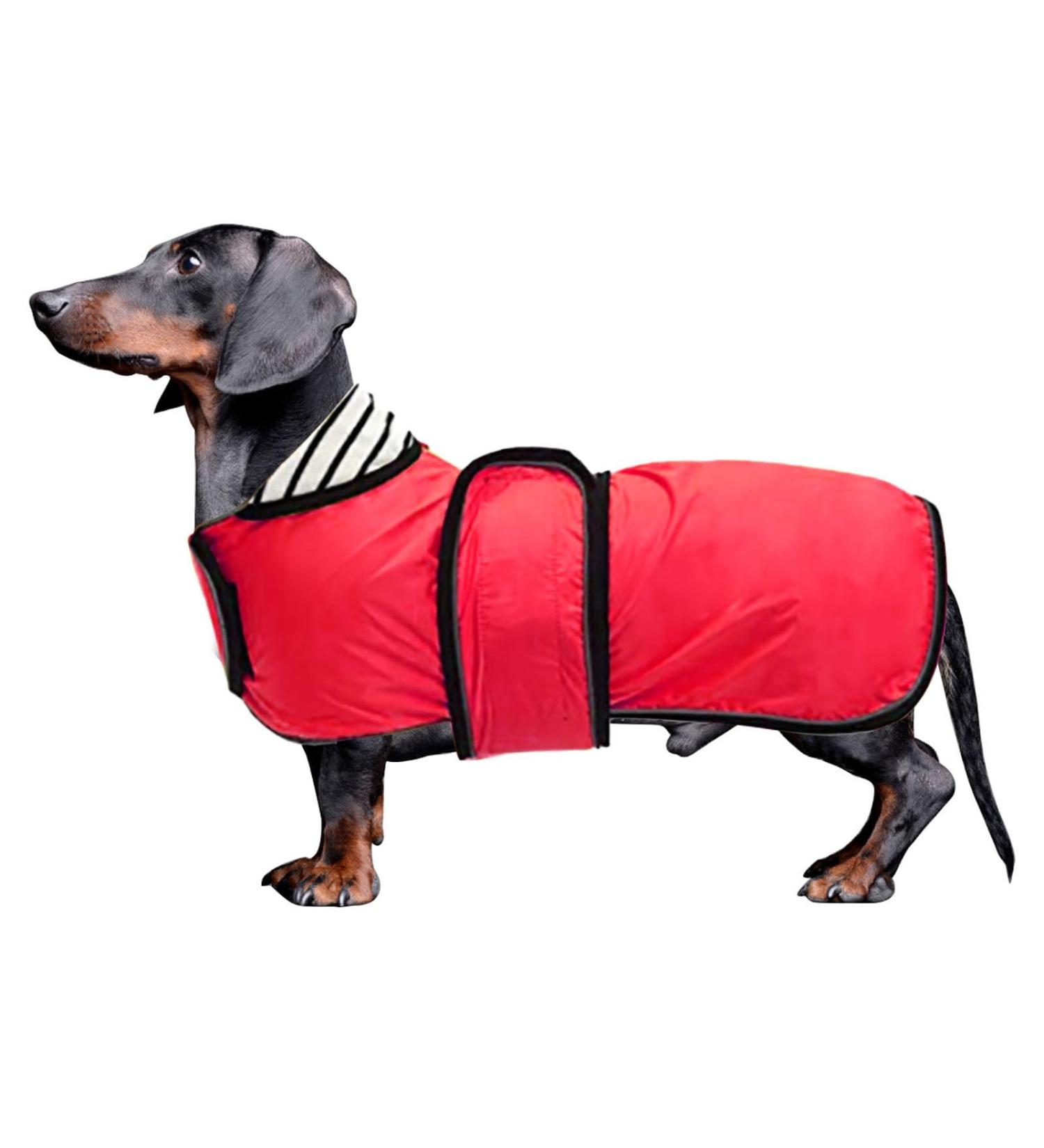Minezis Waterproof Dog Coat with Reflex Strips - Adjustable Vest for Small & Medium Breeds (Dachshund Rottweiler) - Red Size L (Back Length: 47-50cm) - Buy Online on GoSupps.com