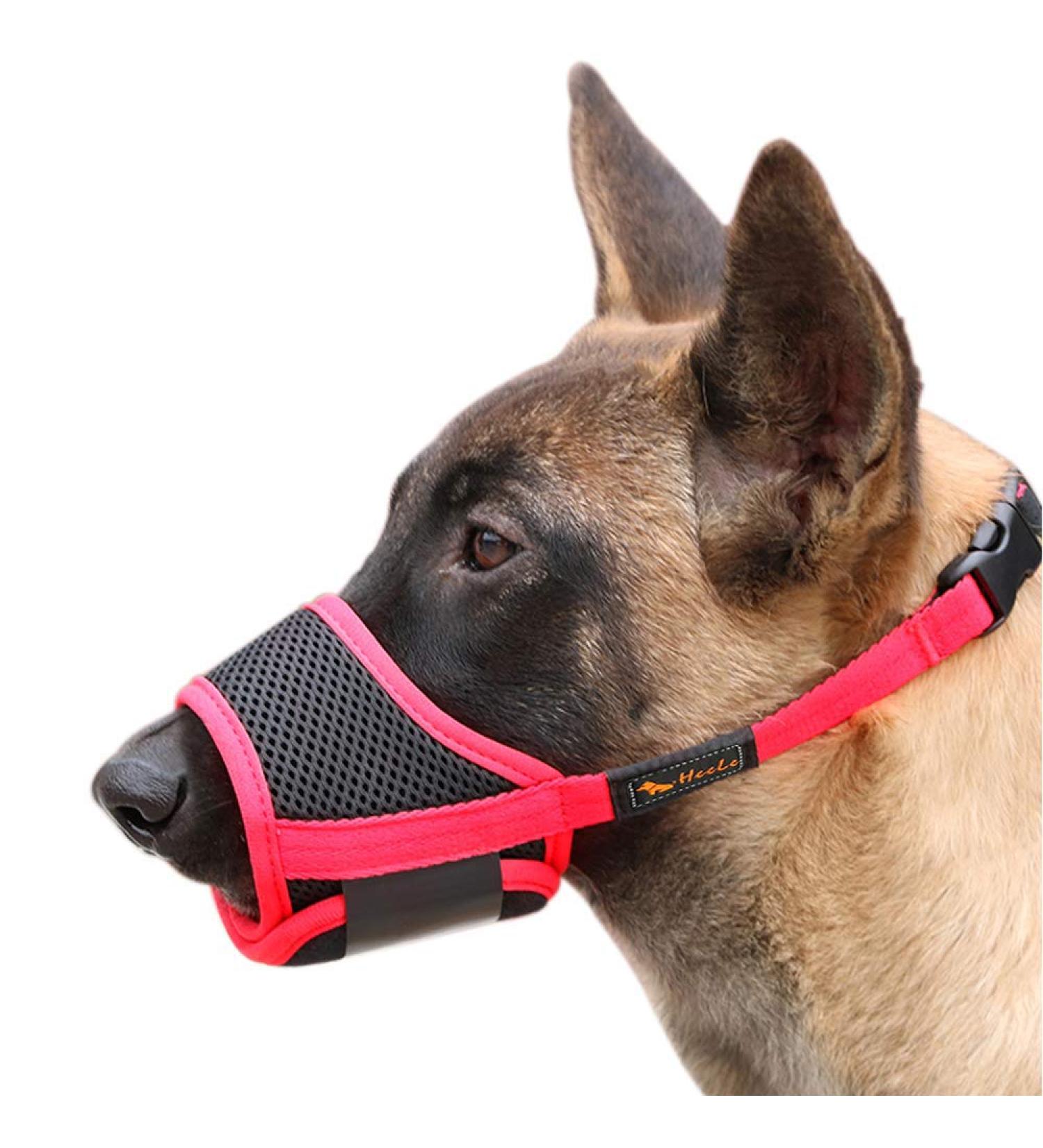 Heele Nylon Dog Muzzle - Adjustable Breathable & Safe for Small to Medium Dogs - Prevents Biting Chewing & Barking (M Red) - Buy Online on GoSupps.com