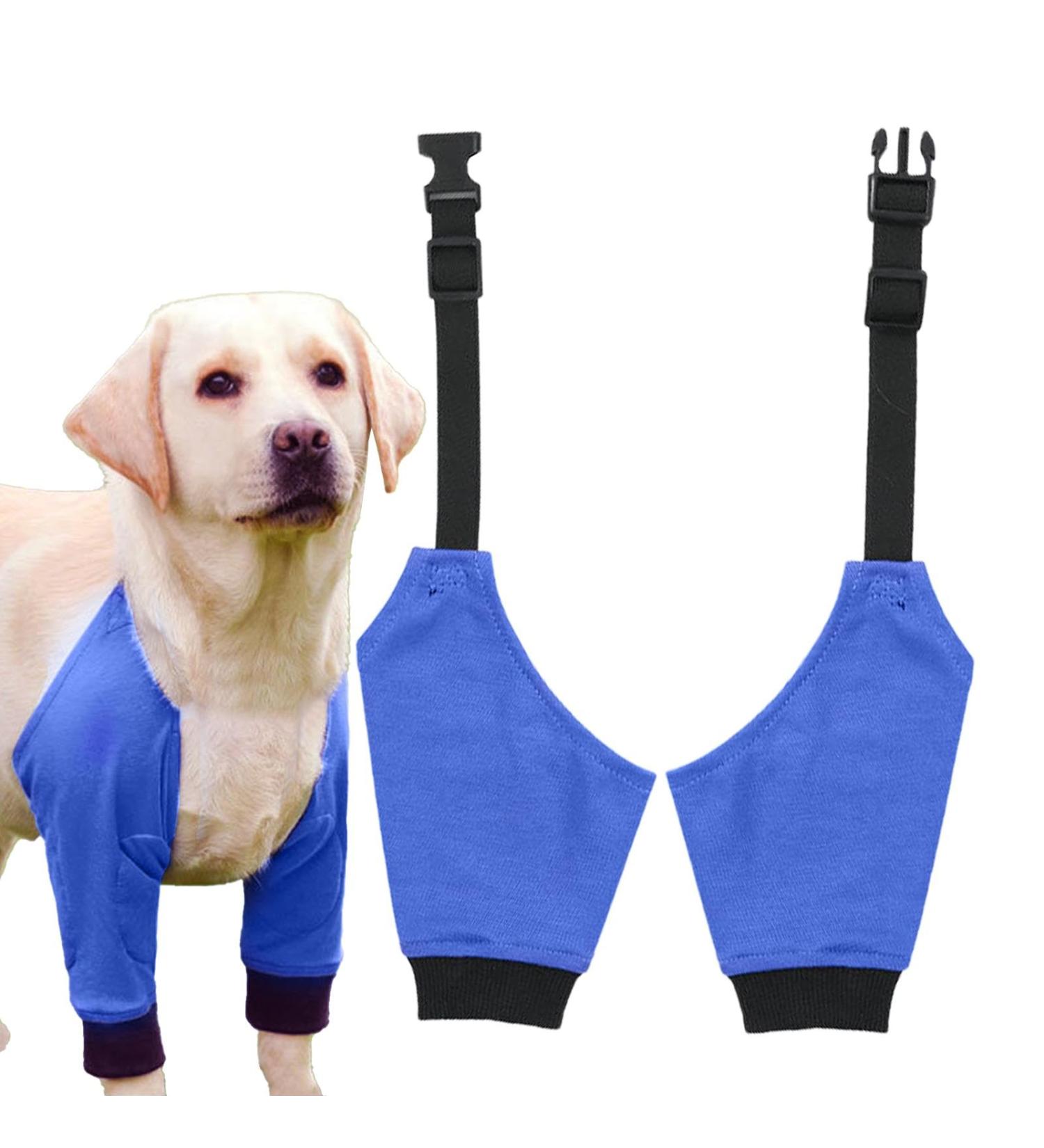 Dog Front Elbow Brace Dog Hip Joint Brace 1 Pair Wear-Resistant Pet Protective Knee Pad for Dog Hip Joint Stain-Resistant Breathable Blue L - Buy Online on GoSupps.com