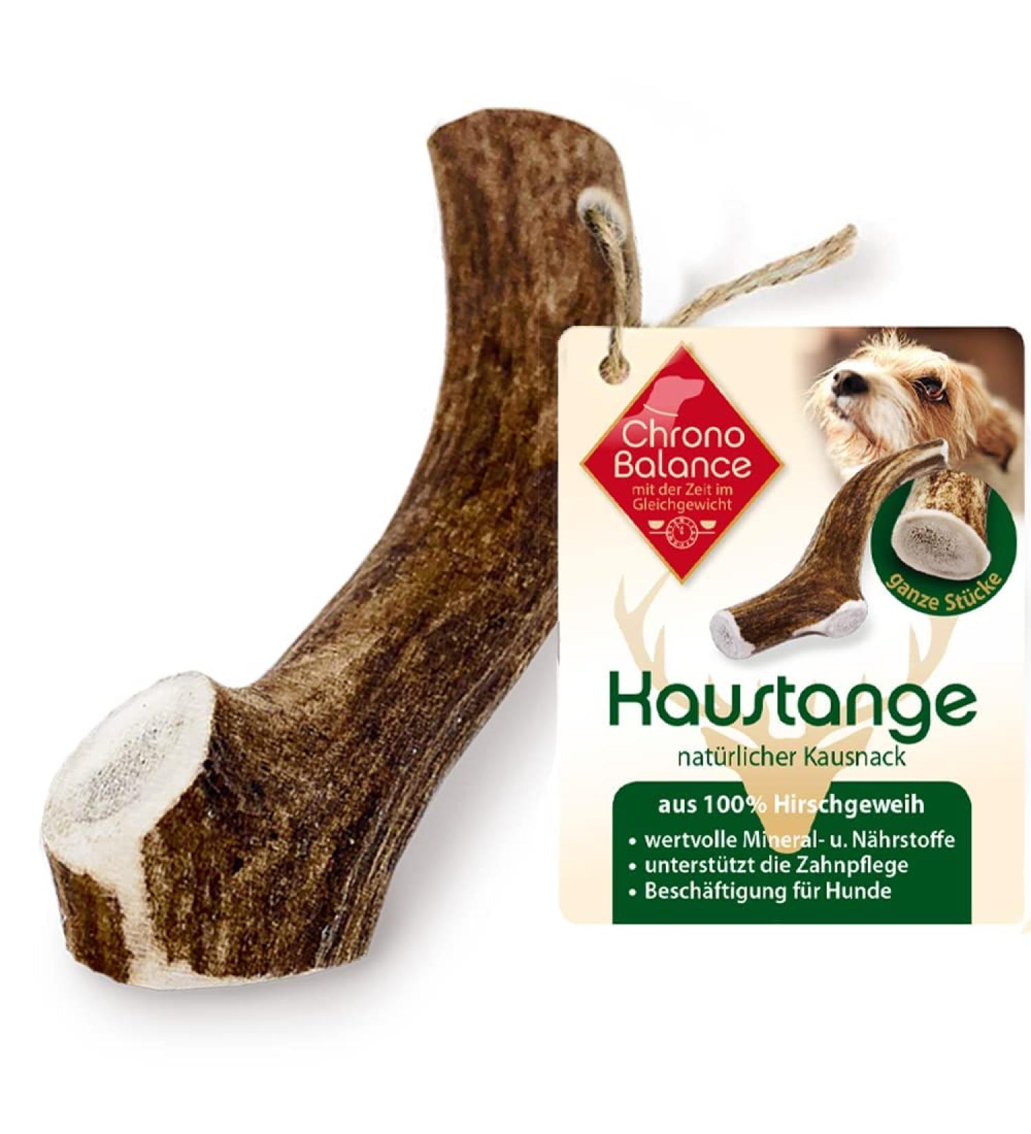 Chronobalance XL Deer Antlers for Dogs Natural Dental Chew Treats 100% Additive-Free Whole Pieces Perfect for Cake Stuffing XL Size - Buy Online on GoSupps.com