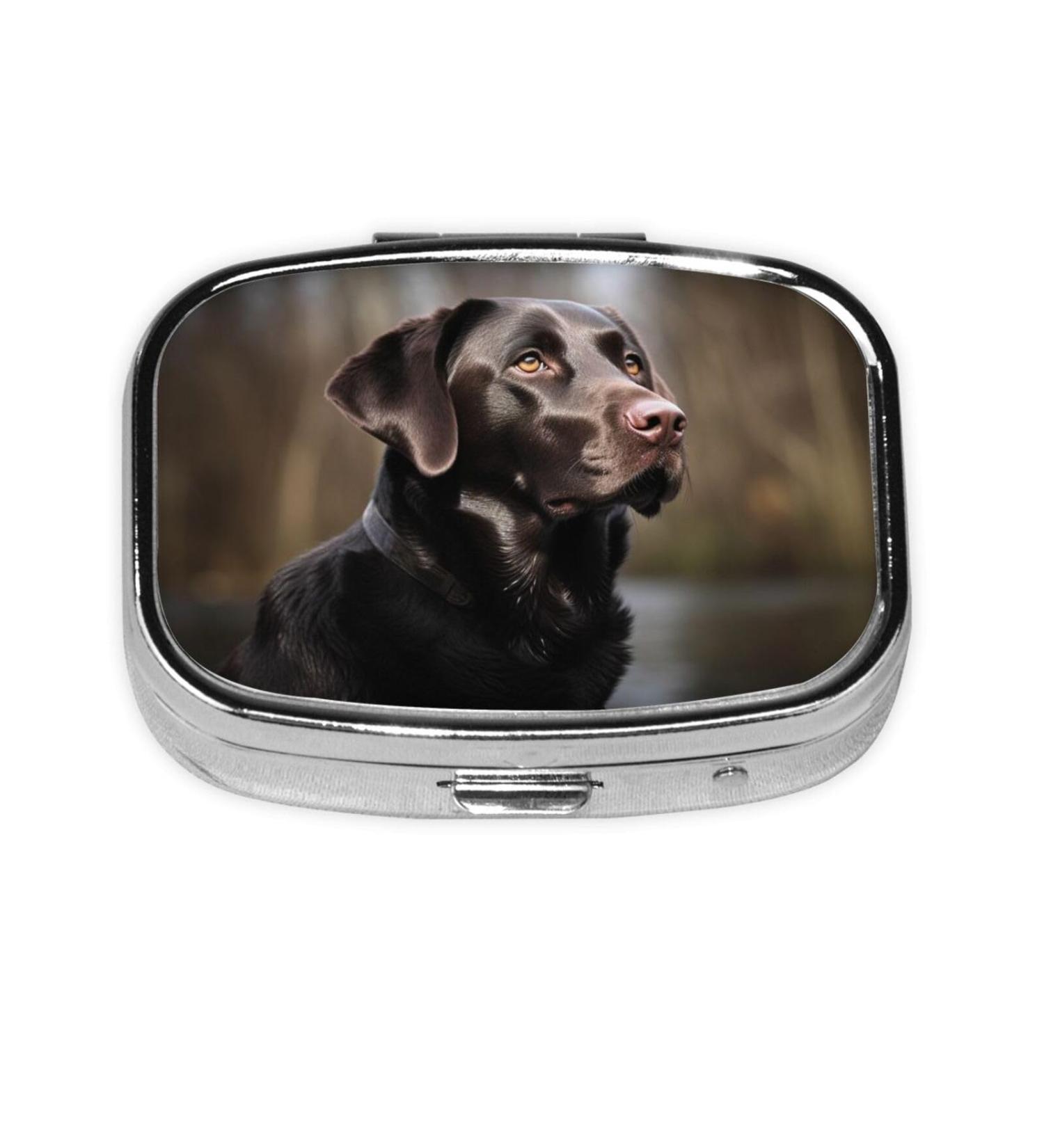 Labrador Retriever Pill Case - Cute 2 Compartment Travel Organizer for Purses | Small Pill Box Gifts - Buy Online on GoSupps.com
