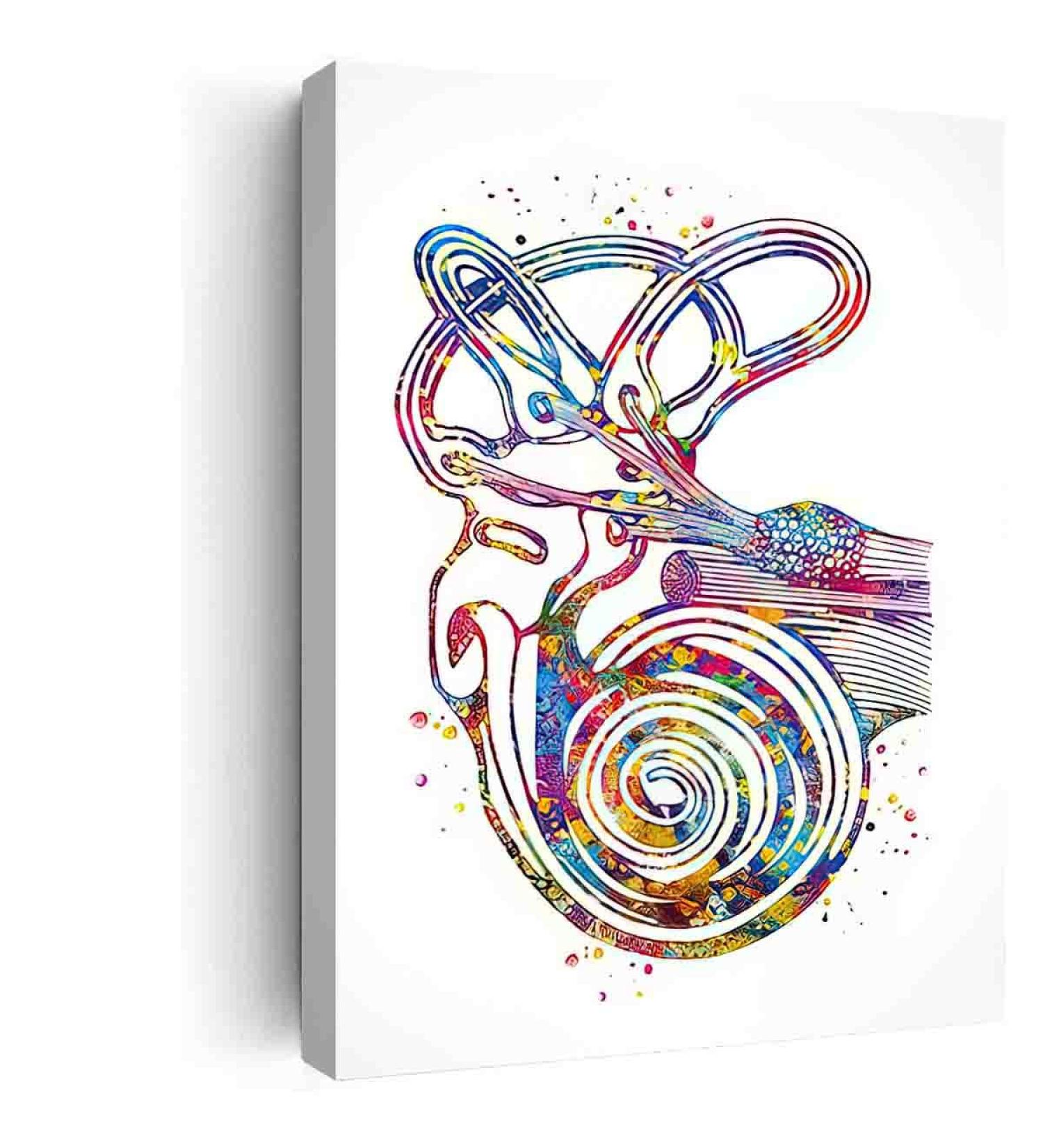 Modern Farmhouse Bedroom Decor: Semicircular Canals Ear Watercolor Print | Audiologist Gift & ENT Office Medical Art | 12x18 Ready to Hang - Buy Online on GoSupps.com