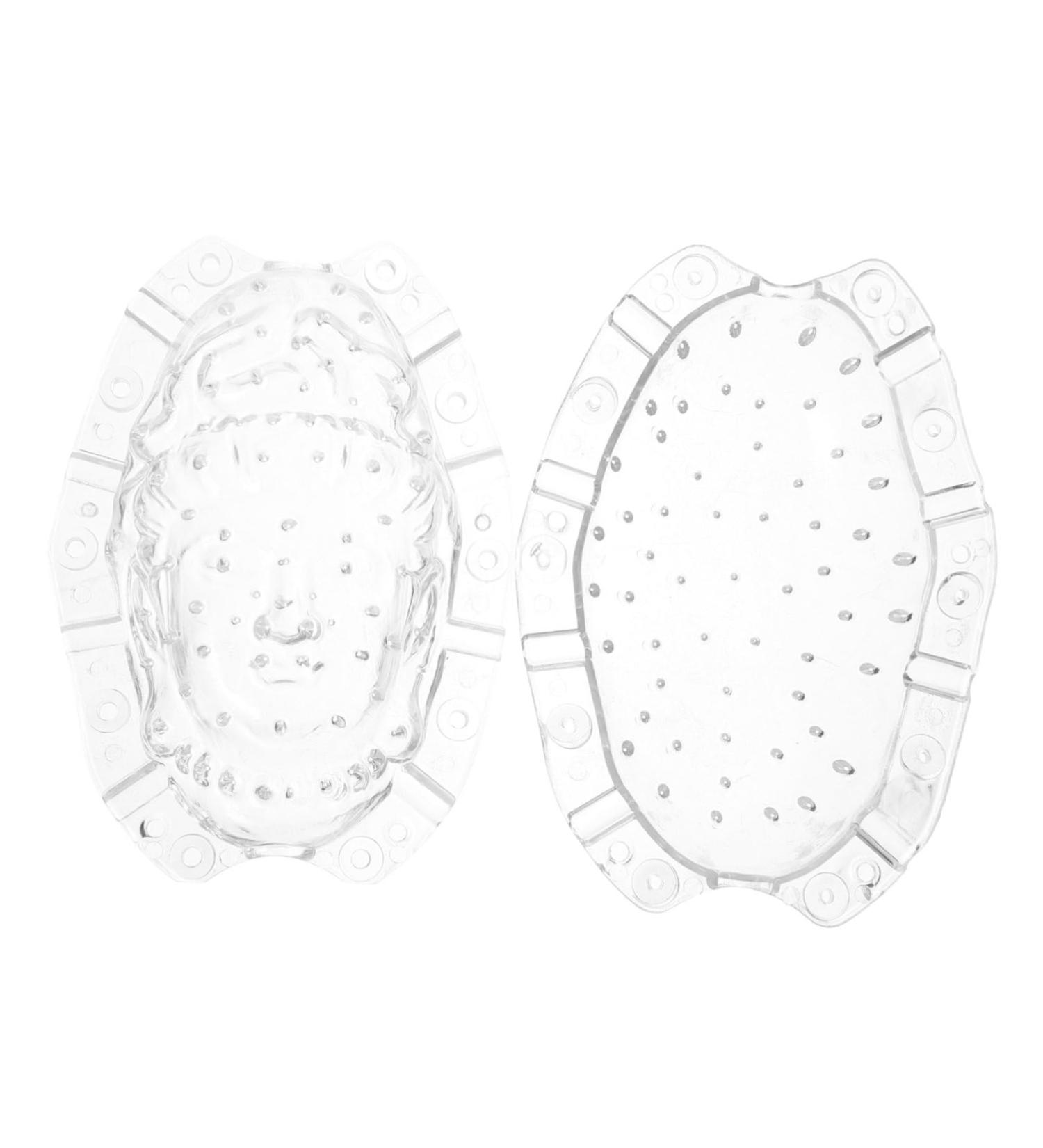 SUPVOX Vegetable Growing Candied Fruits Fruit Growth Forming Tool Multi-use Fruits to Play with - Buy Online on GoSupps.com