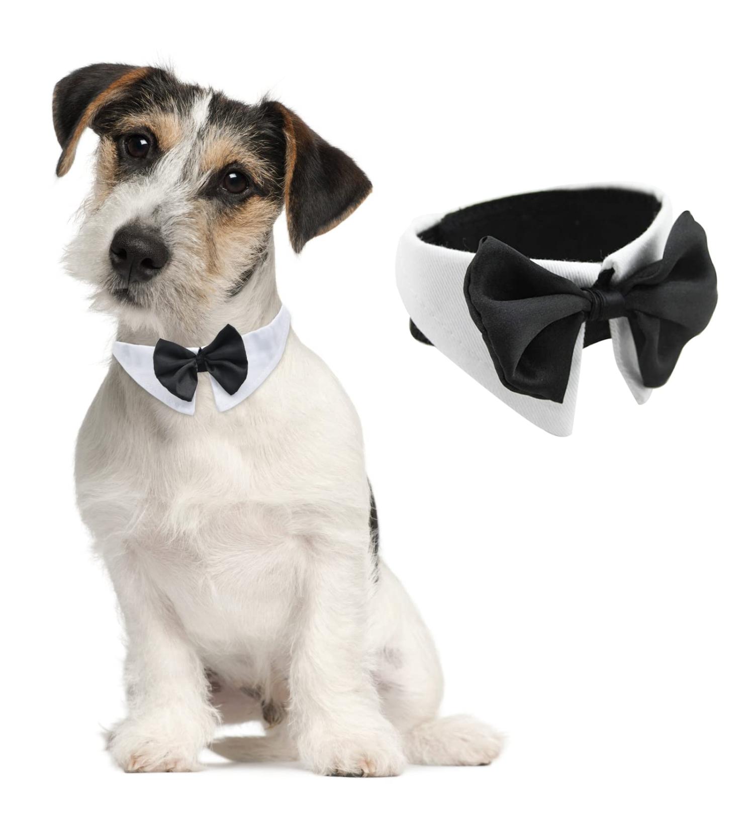 Hacraho Tux Dog Fly White Soft Cotton Formal Dog Collar & Adjustable Tie for Small Dogs & Cats | Perfect for Weddings Birthdays & Parties - Buy Online on GoSupps.com