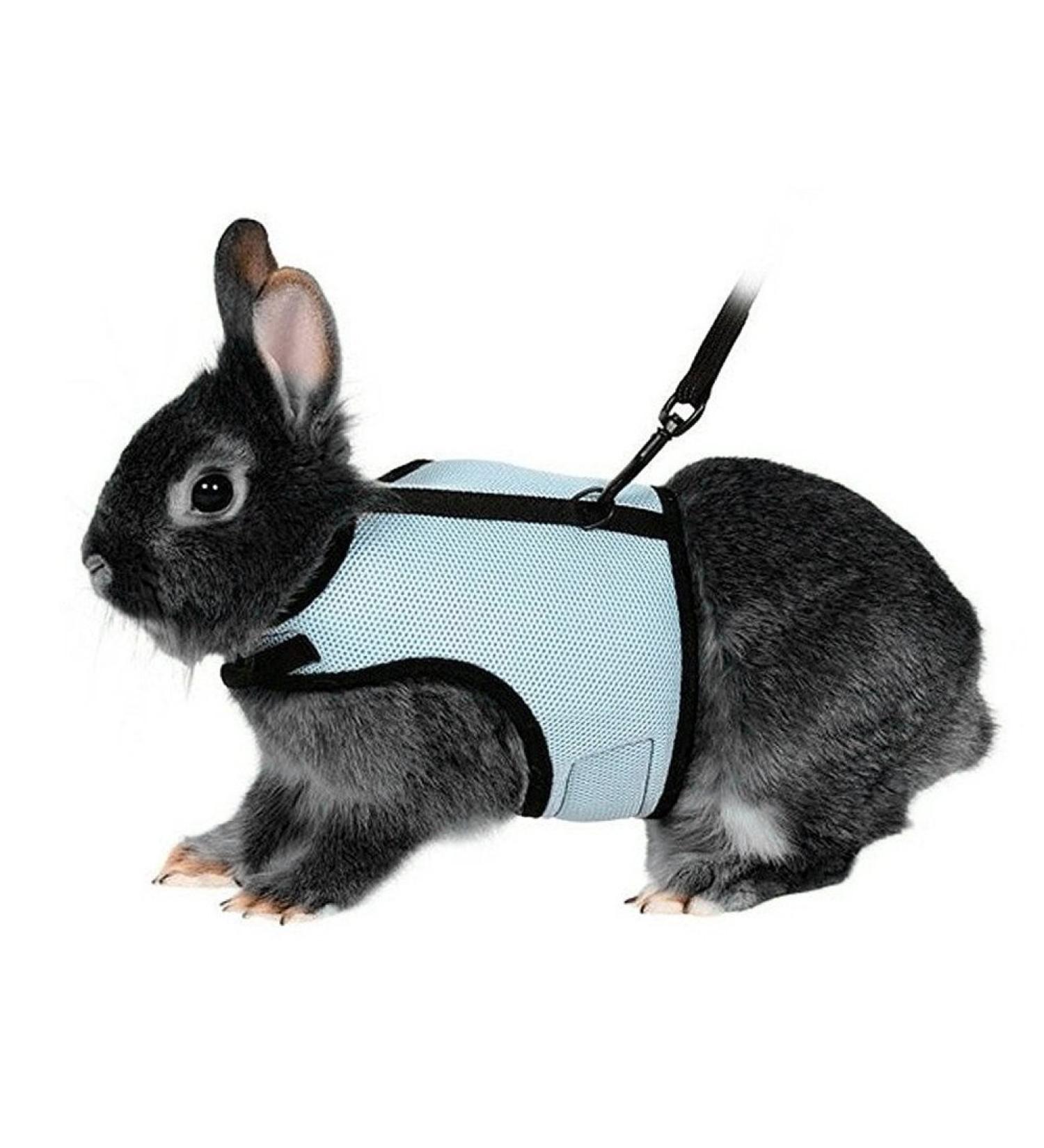 UEETEK Soft Harness with Lead for Rabbits Bunny Elastic Size L (Sky Blue) - Buy Online on GoSupps.com