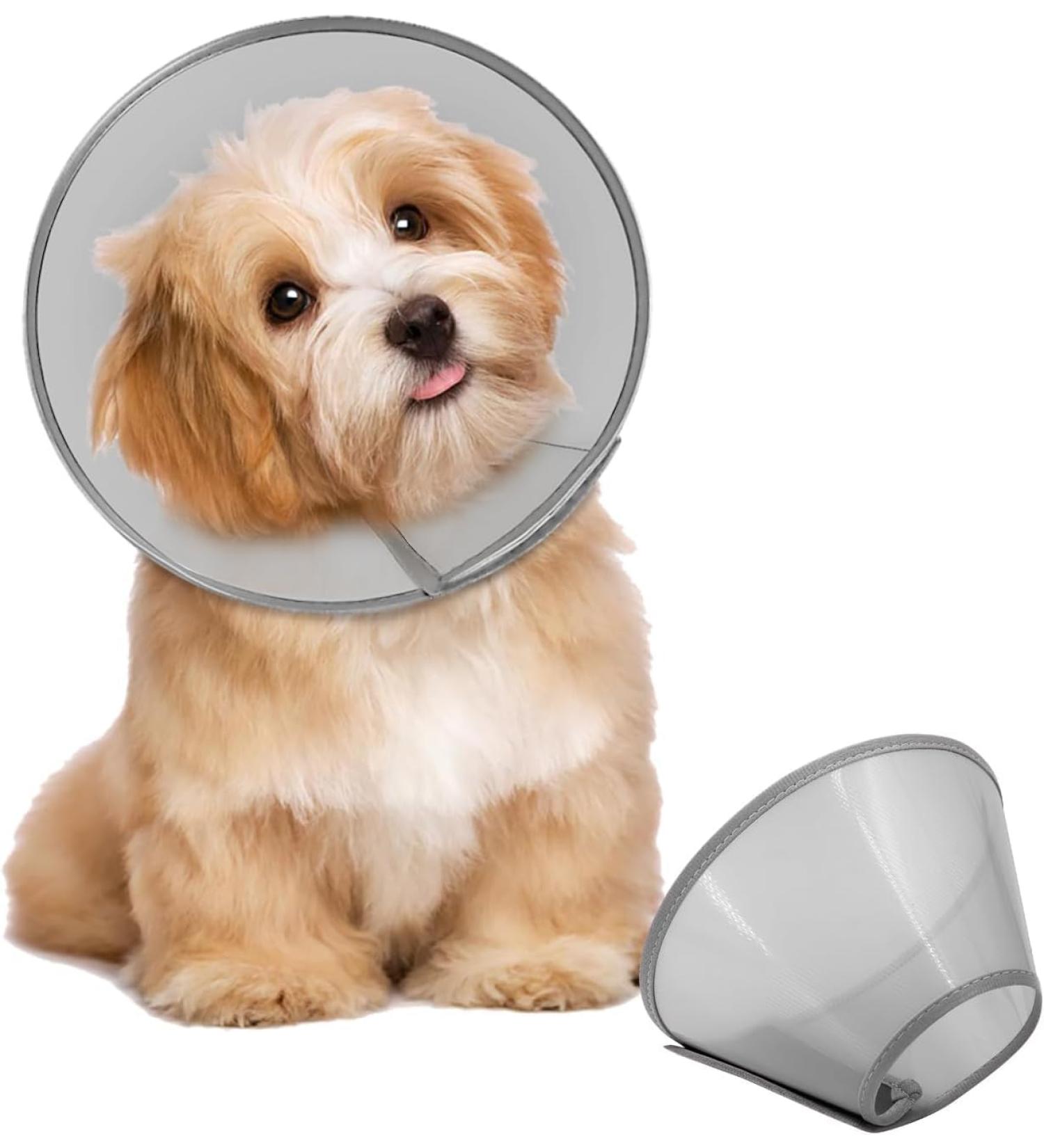 Supet Protective Collar for Cats & Small Dogs - Gray XS (Neck 9.8-11.2) | Durable Plastic Design | International Shipping Available - Buy Online on GoSupps.com