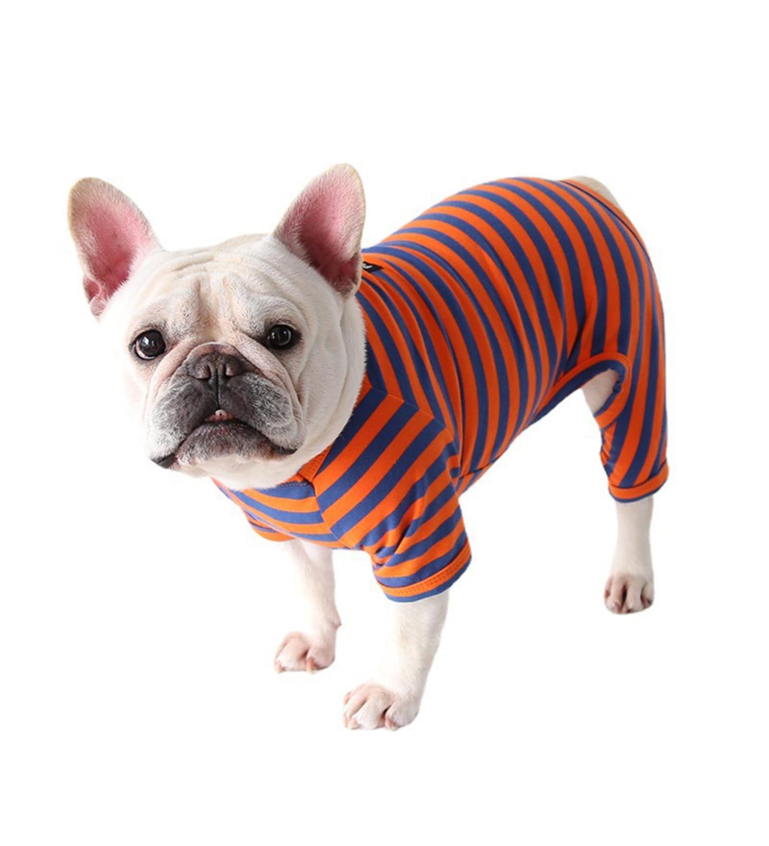 BT BEAR Colorful Striped Dog Pajamas - Soft Cotton Overall Costume for Bulldogs & Small Medium Dogs (XL Blue/Orange) - Buy Online on GoSupps.com