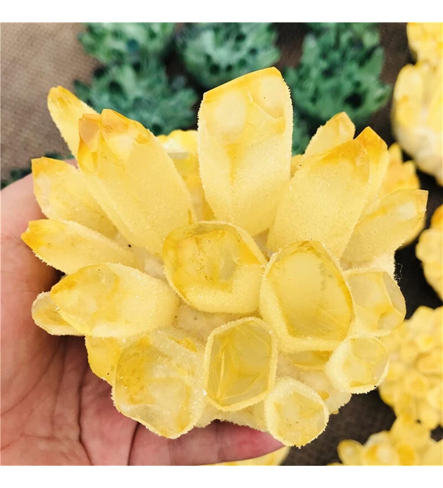 Natural Yellow Ghost Phantom Quartz Crystal Cluster Healing Specimen Home Decoration Office Living Room Crystal Decora Reiki Crystals Crystal Cluster (Size : 350-400g) - Buy Online on GoSupps.com