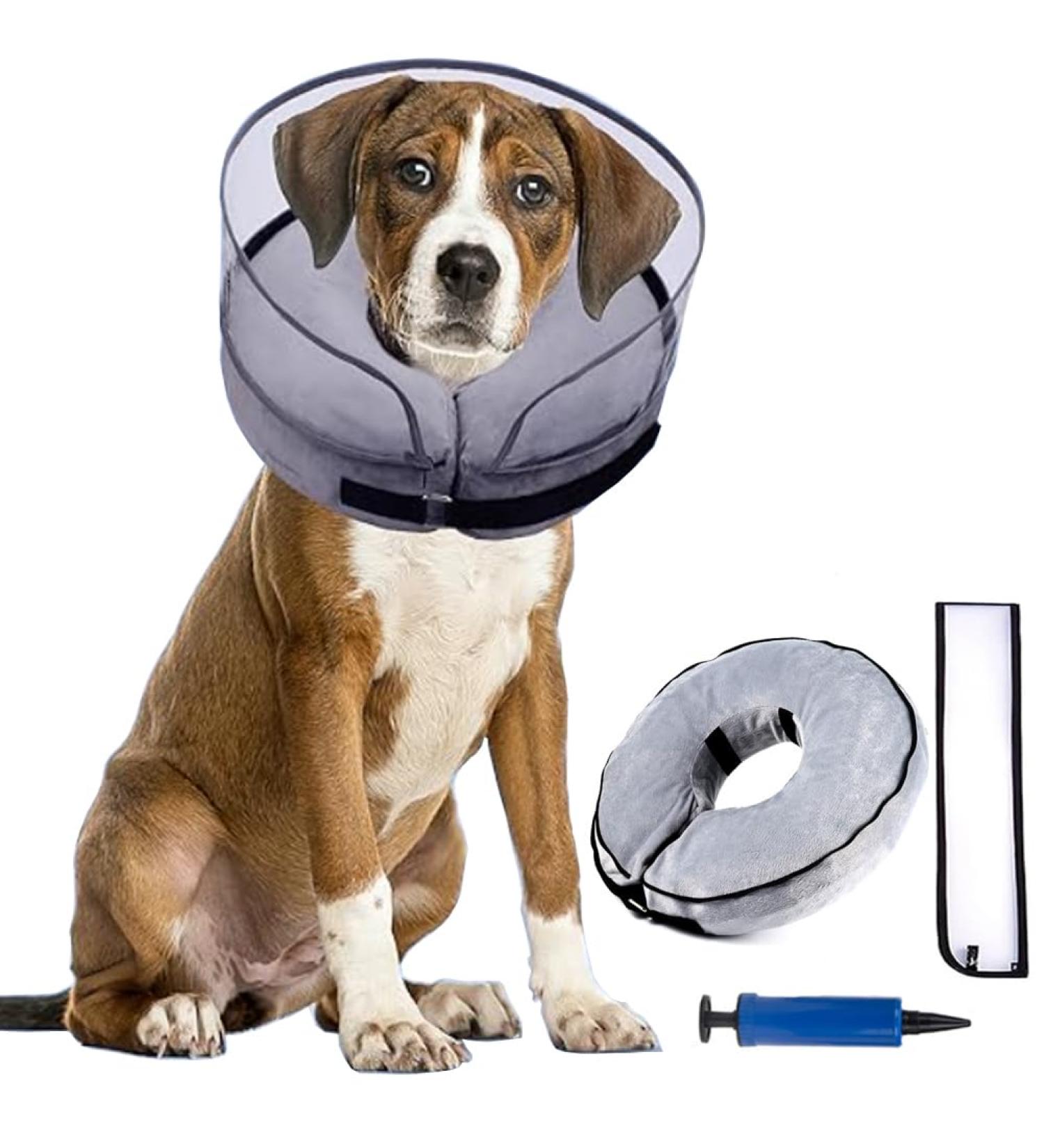 Small Cans for Dogs - 2-in-1 Inflatable Recovery Collar | Protective Pet Collar for Wounds & Surgery - Buy Online on GoSupps.com