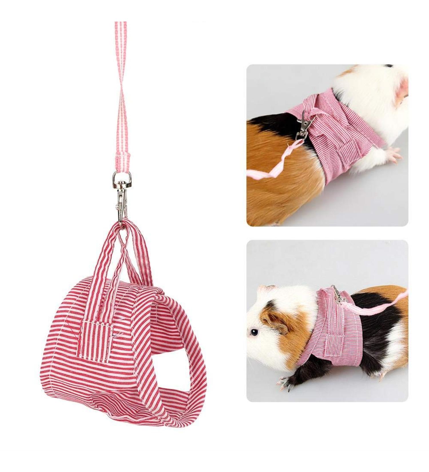 Small Animals Adjustable Harness Vest & Leash Set for Outdoor Walking - Red S | Ideal for Guinea Pigs, Squirrels, Hedgehogs, Ferrets, Rabbits - Buy Online on GoSupps.com