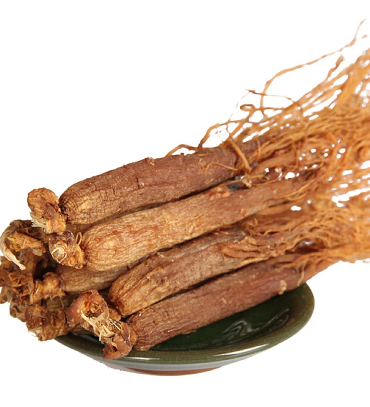 Red Ginseng Root Red Ginseng Korea Red Ginseng Tea Korean Red Ginseng Root Organic Red Korean Ginseng Root Red Ginseng Root 16 Years Radix Ginseng - Buy Online on GoSupps.com