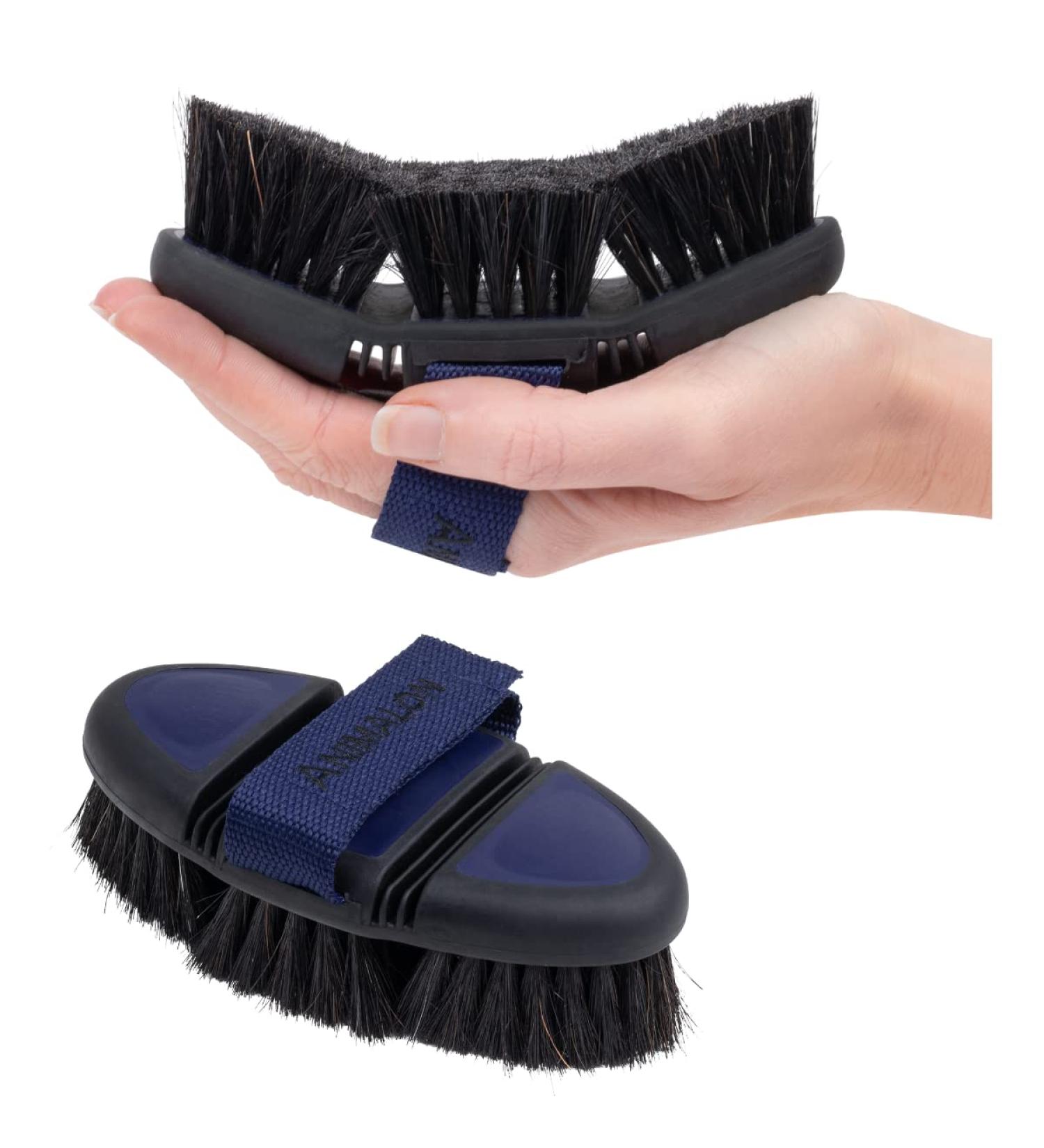 Animalon Kard tsche for Dogs | Natural Bristle Brush for Short Hair | Gentle Fur Care | Innovative Dog Grooming Tool (Small Blue) - Buy Online on GoSupps.com