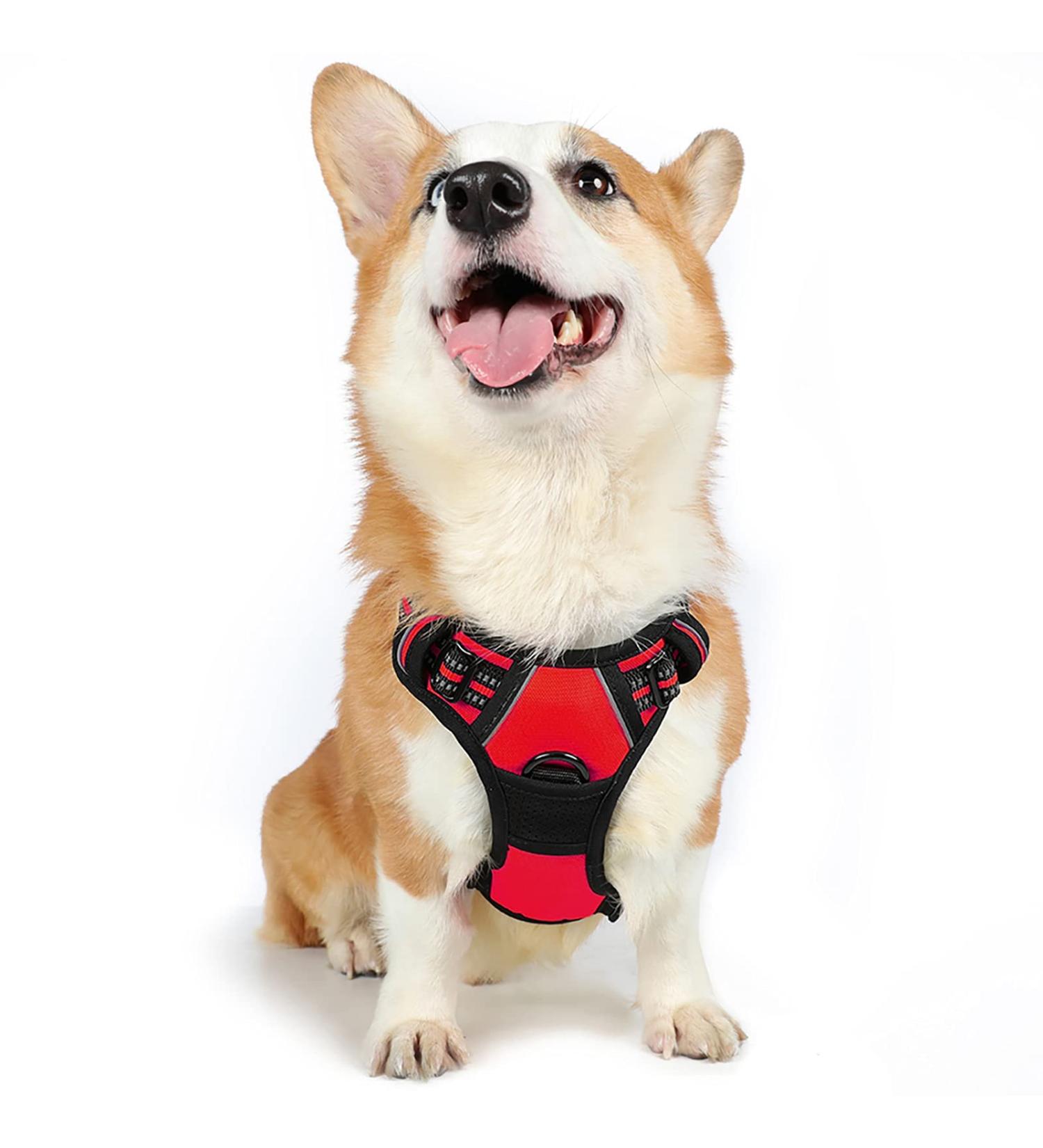 Rabbitgoo Medium Dog Harness - No Pull Adjustable Breathable Safety Guide with Reflective Stripes for Large Dogs - Red (1 Pack) - Buy Online on GoSupps.com
