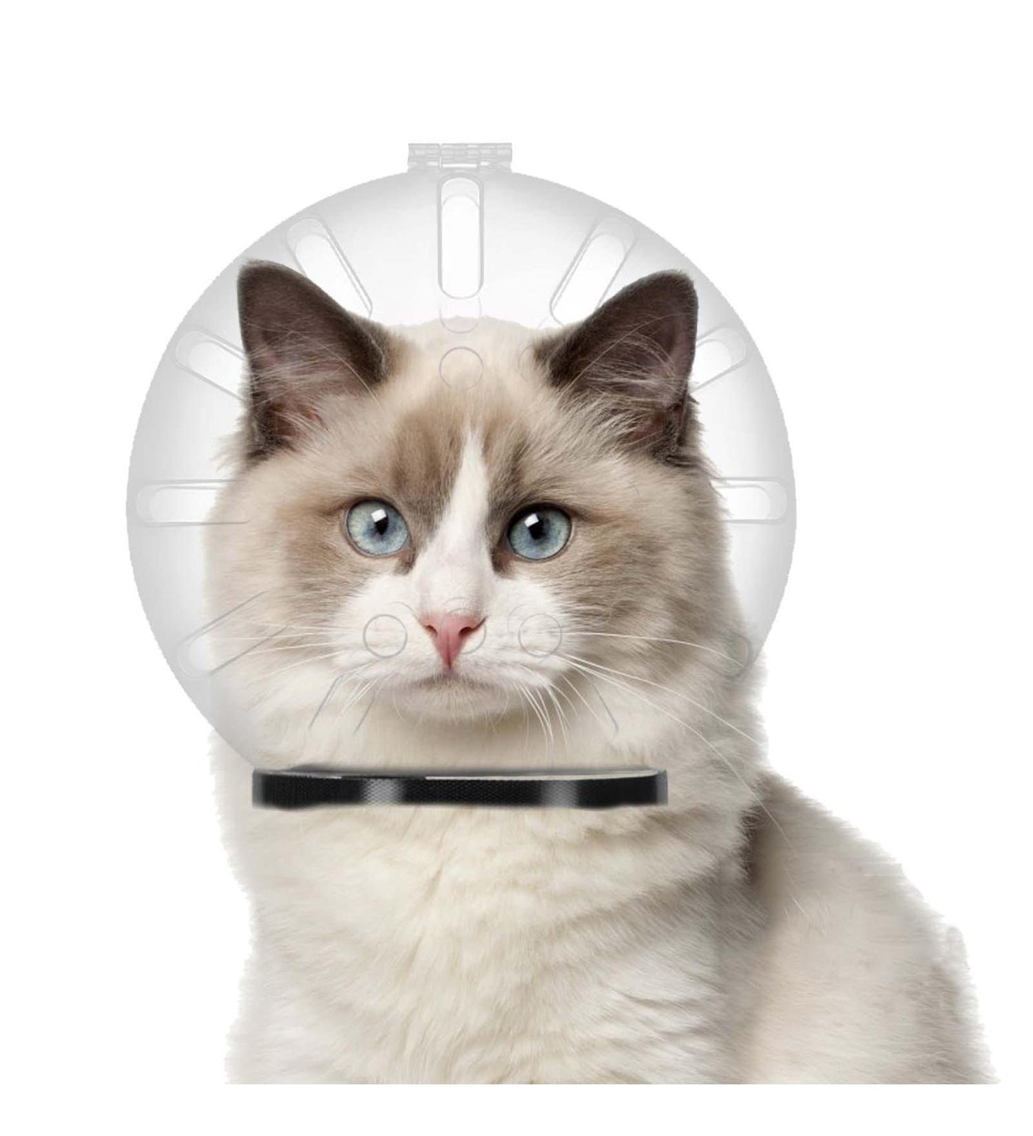 Clarful Breathable Cat Muzzle - Transparent Adjustable Anti-Bite Hood for Fur Care & Protection - Buy Online on GoSupps.com