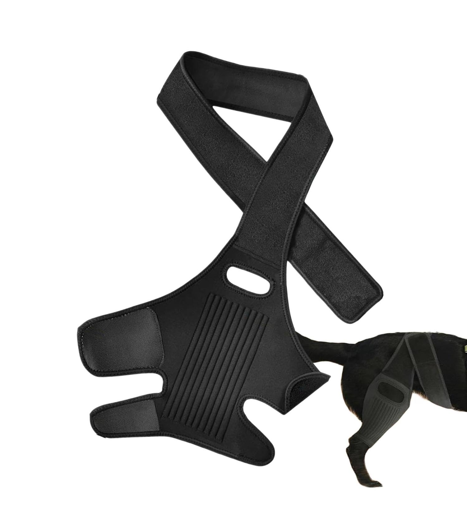 Dog Knee Brace - Dog Leg Protector with 10 Support Sticks | Dog Acl Knee Brace | Breathable Large Dog Rear Leg Support | Dog Leg Protector for Pet Recovery - Buy Online on GoSupps.com