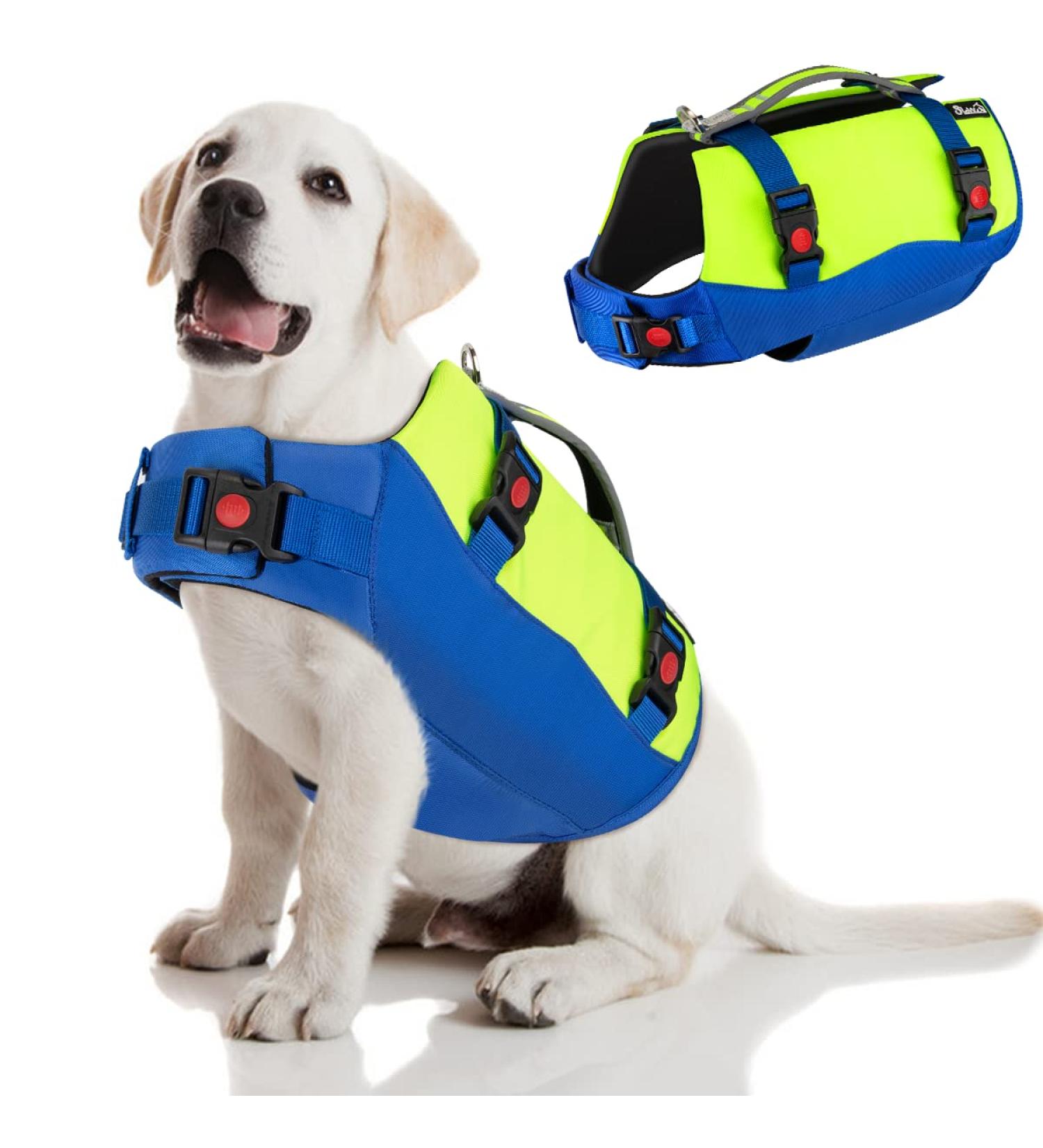 Shop Eyin Life Jackets for Medium Dogs | Adjustable Reflective Durable Swim Aid (Blue & Yellow) - Strong Buoyancy & Tear Protection - Buy Online on GoSupps.com
