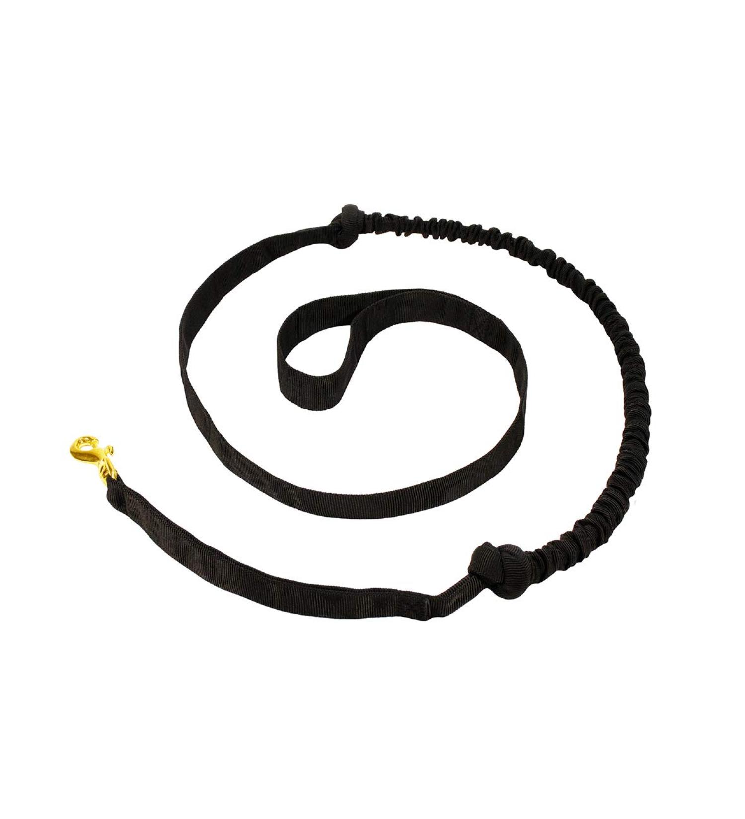 LASALINE Pulling Leash for Dogs - Canicross Jogging Trekking & Scooter | 142cm for Dogs up to 20kg - Black - Buy Online on GoSupps.com