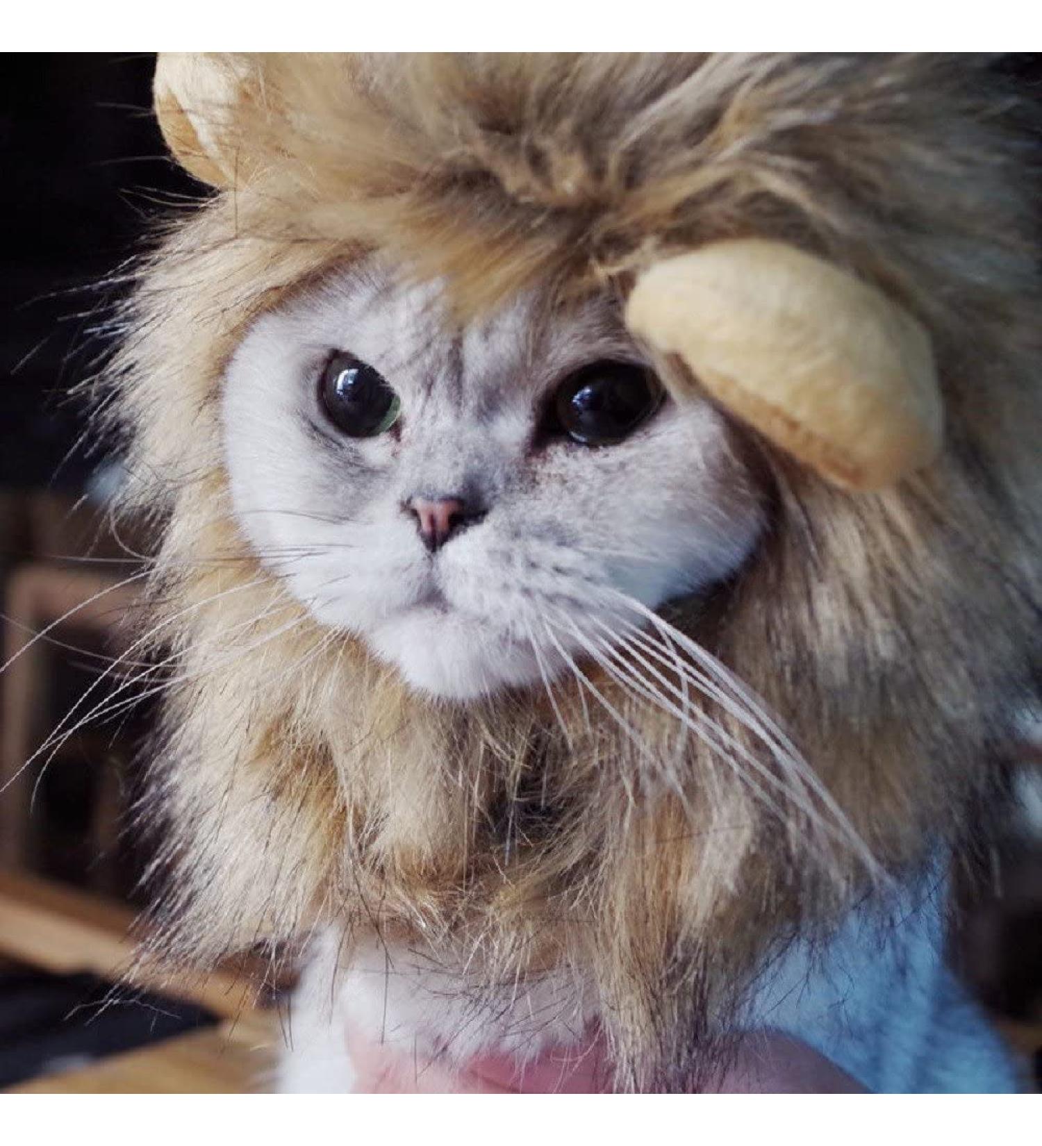 Bello Luna Lion Hair Headgear for Dogs & Cats | Lion Mane Wig Cosplay Costume for Puppies | Halloween Christmas & Festival Party - Buy Online on GoSupps.com