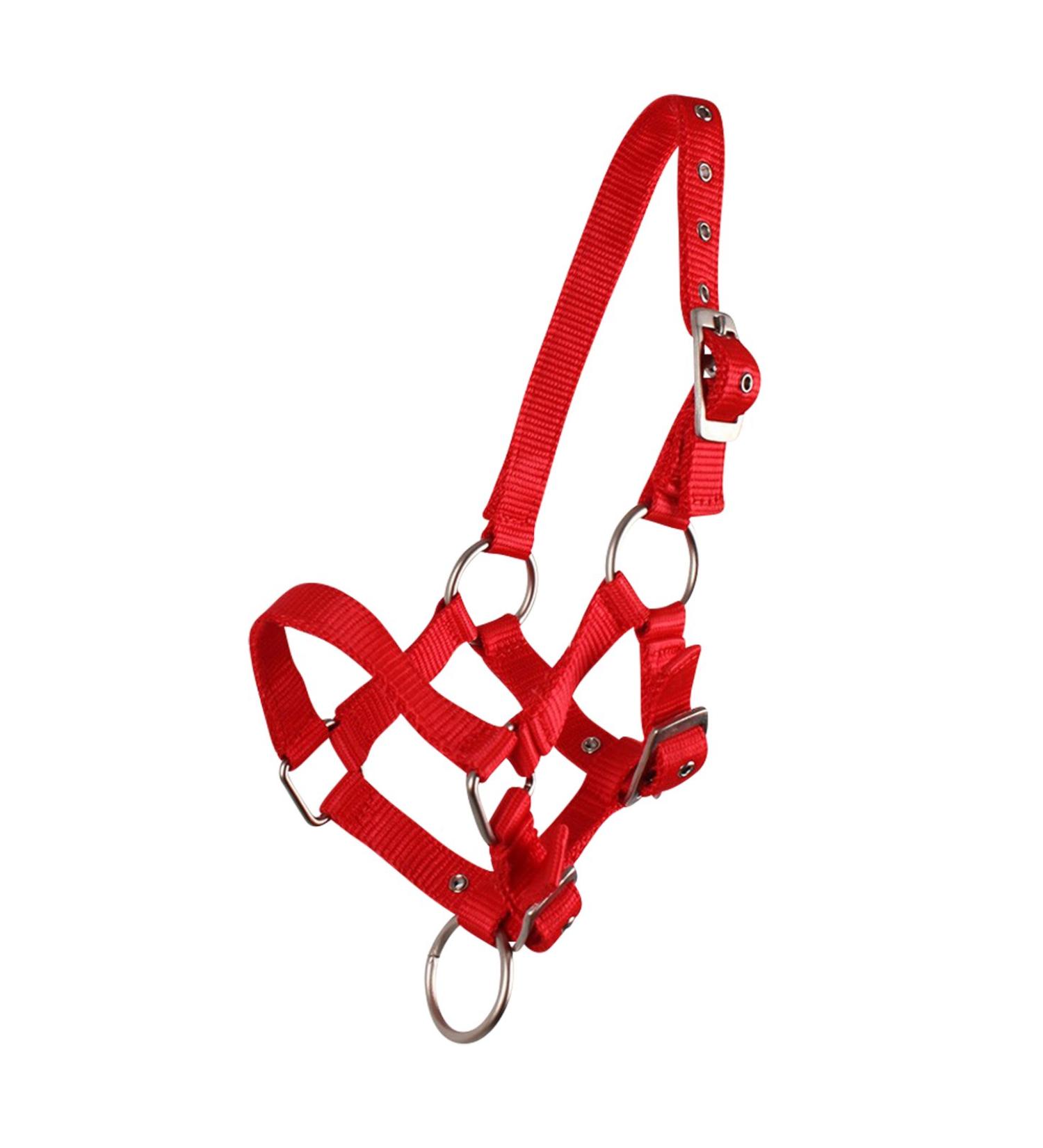QHP Foal Halter - Nylon Foal Halter in 4 Sizes & 6 Colors Perfect for Newborns - Shop Foal Full Red - Buy Online on GoSupps.com
