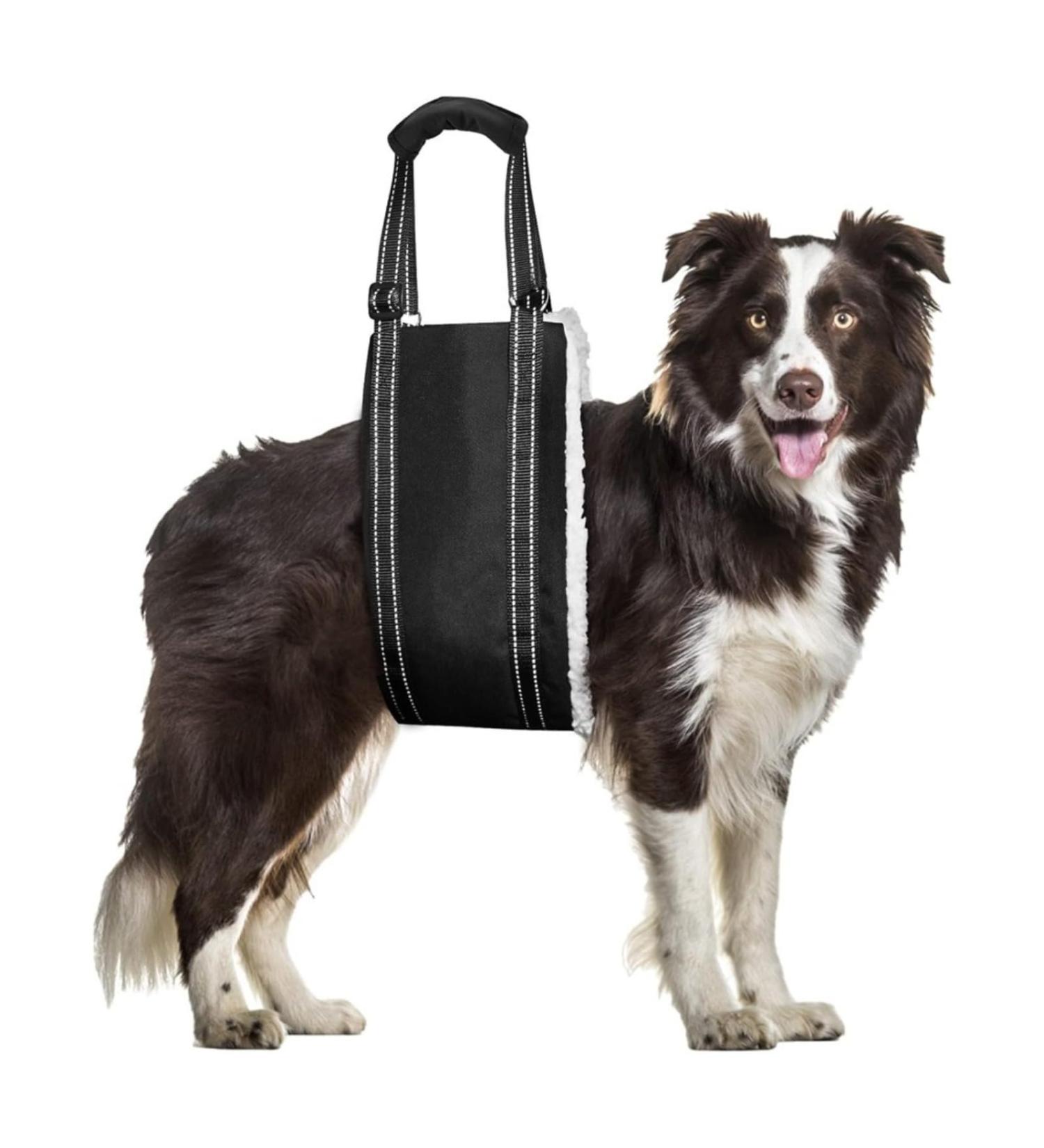 Dog Hip Joint Lifting Assist with Autumn and Winter Black Adjustable Handle Length Suitable for Elderly Disabled Dogs for Assisted Rehabilitation Use Black M - Buy Online on GoSupps.com