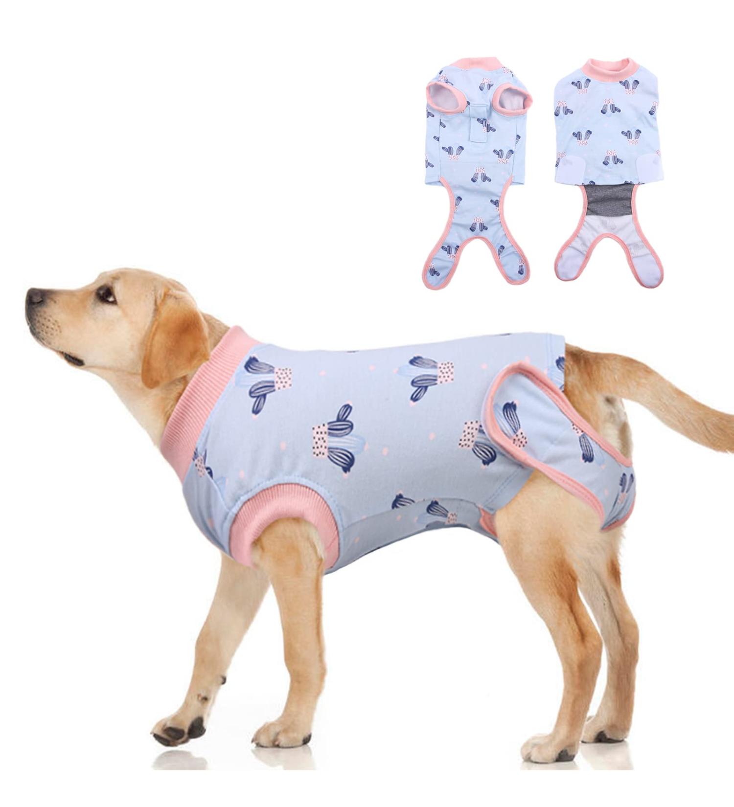 Recovery Suit for Dogs | Postoperative Wound Protection & Anti-Licking Clothing (Blue Cactus Size S) - Buy Online on GoSupps.com