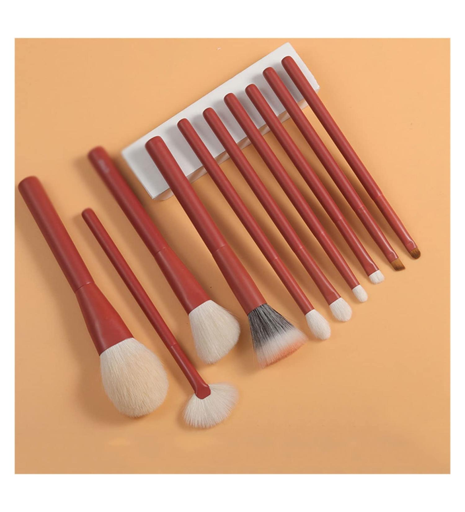 10-Piece Cosmetic Brush Set | Eye Shadow Eyebrow & Halo Brushes - International Shipping - Buy Online on GoSupps.com