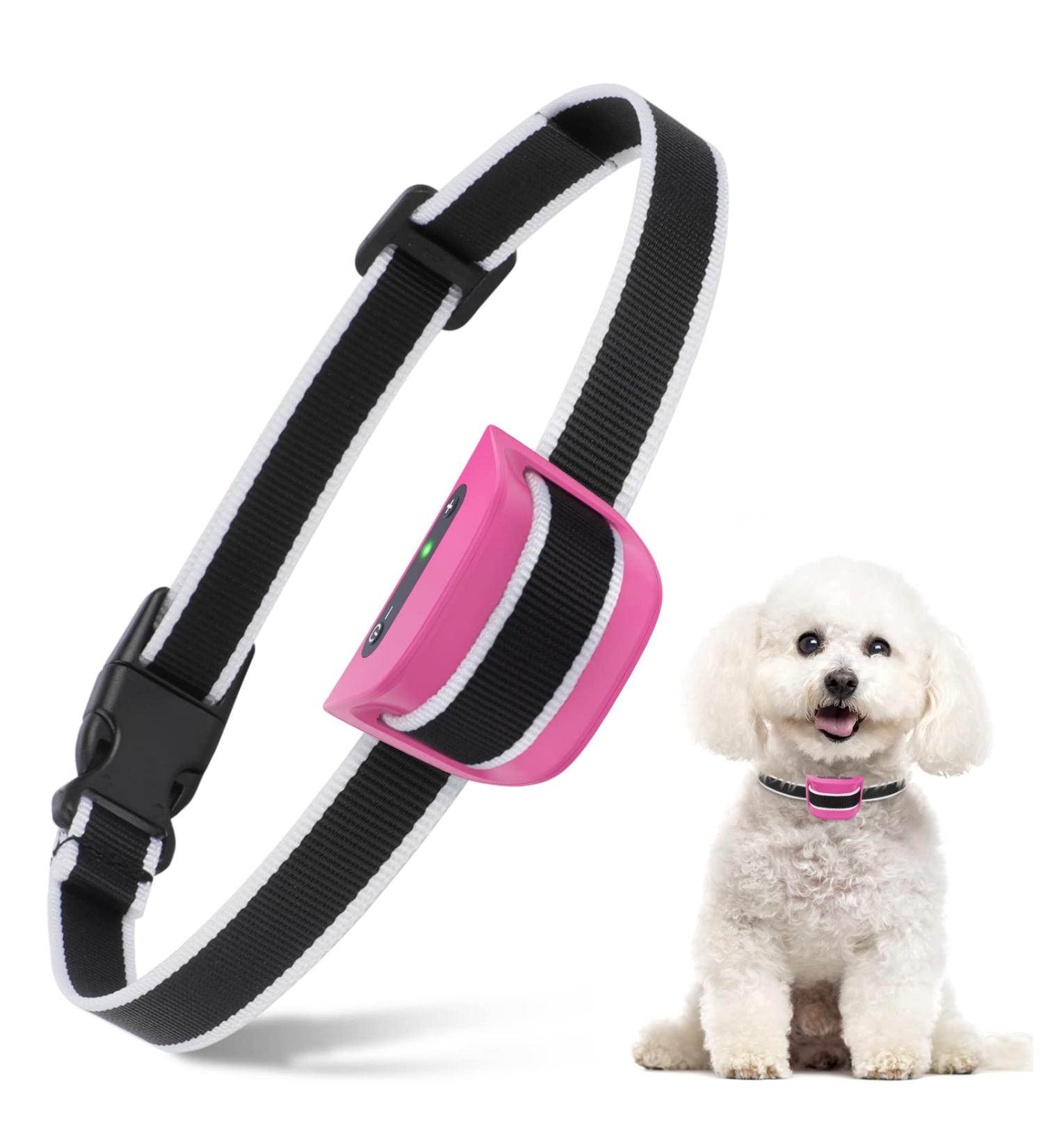 Rechargeable Small Dog Bark Collar | Humane & Safe Anti Bark Training | 7 Sensitivity Levels | Beep Vibration Mode | Pink - Buy Online on GoSupps.com