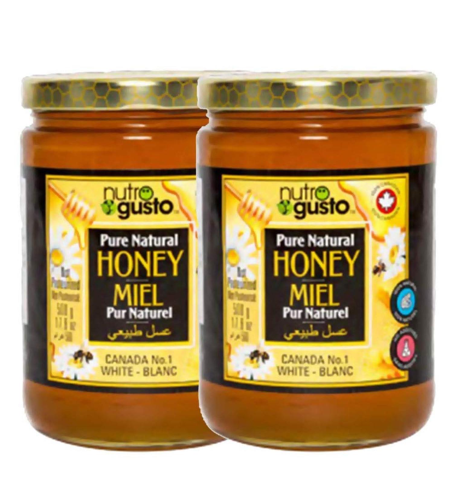 Nutro Gusto Pure Natural Honey 500g Pack of 2