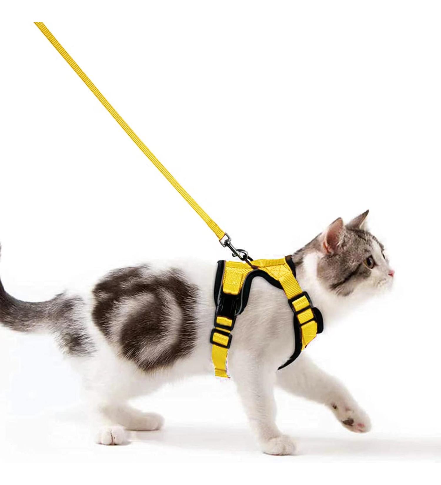 Breakproof Cat Dish & Adjustable Leash Set - Soft Reflective Kitten Vest for Small Cats (Yellow XS) - Buy Online on GoSupps.com