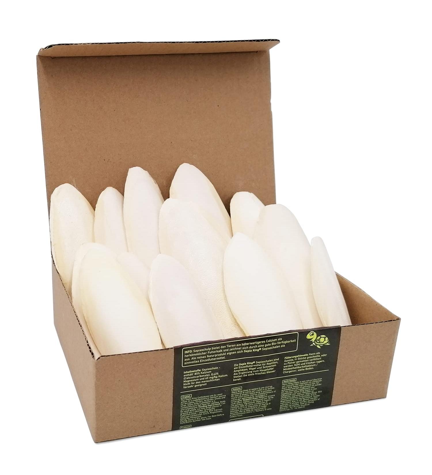 Sepia King Sepiaschellen - Premium Calcium & Vitamin Supply for Reptiles Turtles Bearded Dragons & Birds - 12 High-Quality Shells for Terrariums - Buy Online on GoSupps.com