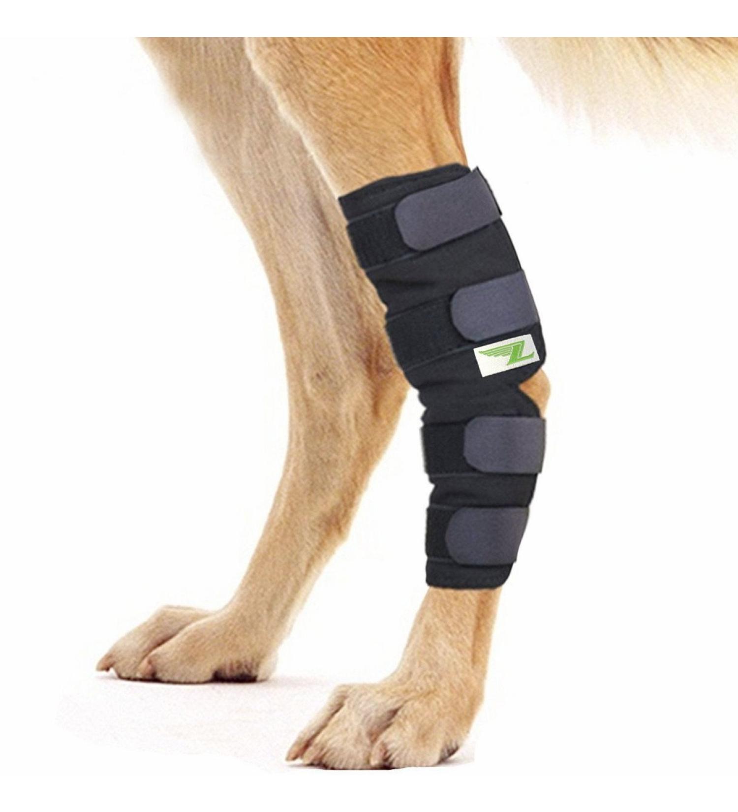 RockPet Dog Hind Leg Joint Brace Therapeutic Hip Bandage for Canines (L) - Buy Online on GoSupps.com