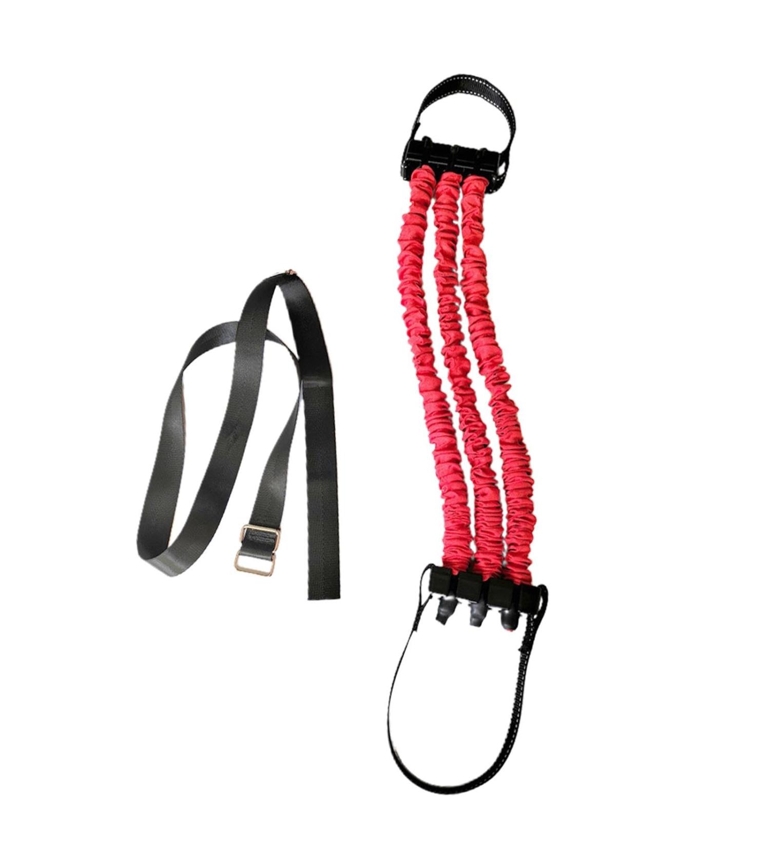Pull-Up Assist Bands Pull up Assist Bands Heavy Duty Resistance for Pull Ups Auxiliary Elastic Band Adjustable Sturdy Training Exerciser for Gym Home Fitness 120lb - Buy Online on GoSupps.com