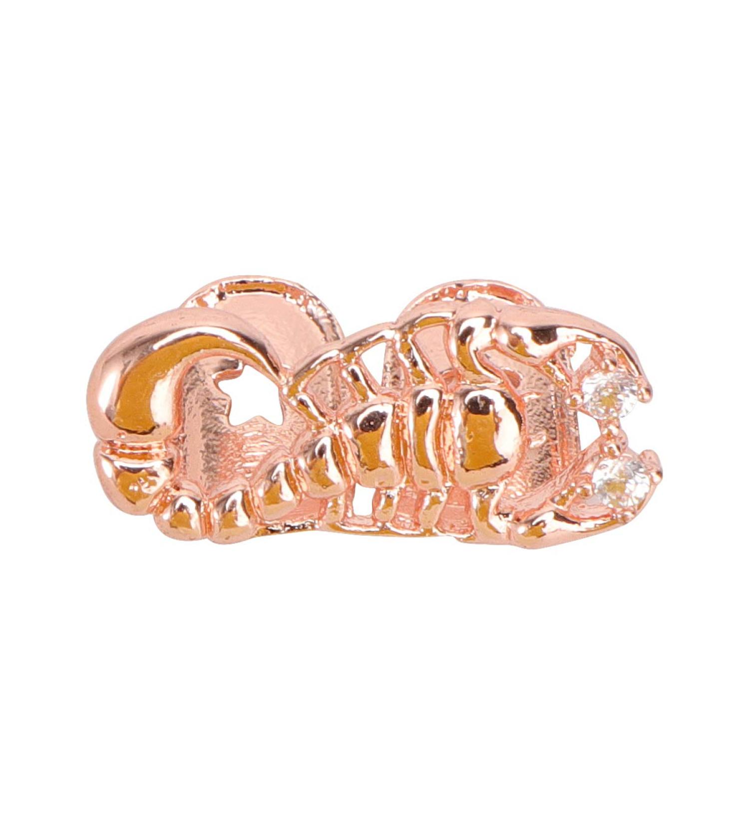 PLAFOPE 1pc Scorpion Single Braces Decor Removable Tooth Caps Scorpion Shaped Accessories Gold 14k 2X1cm Golden - Buy Online on GoSupps.com