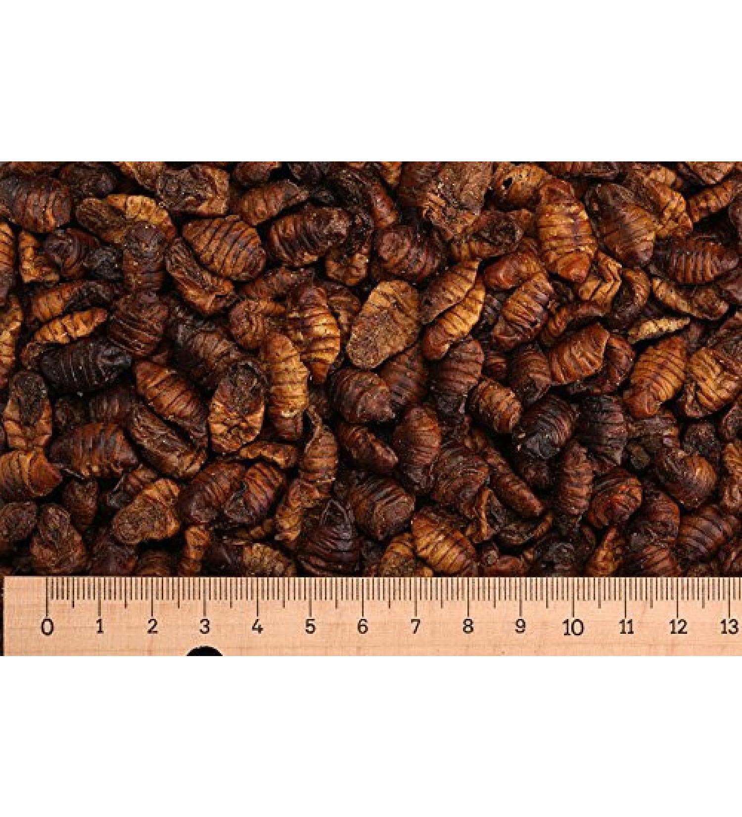 5.0 kg Premium silkworms - Koi food