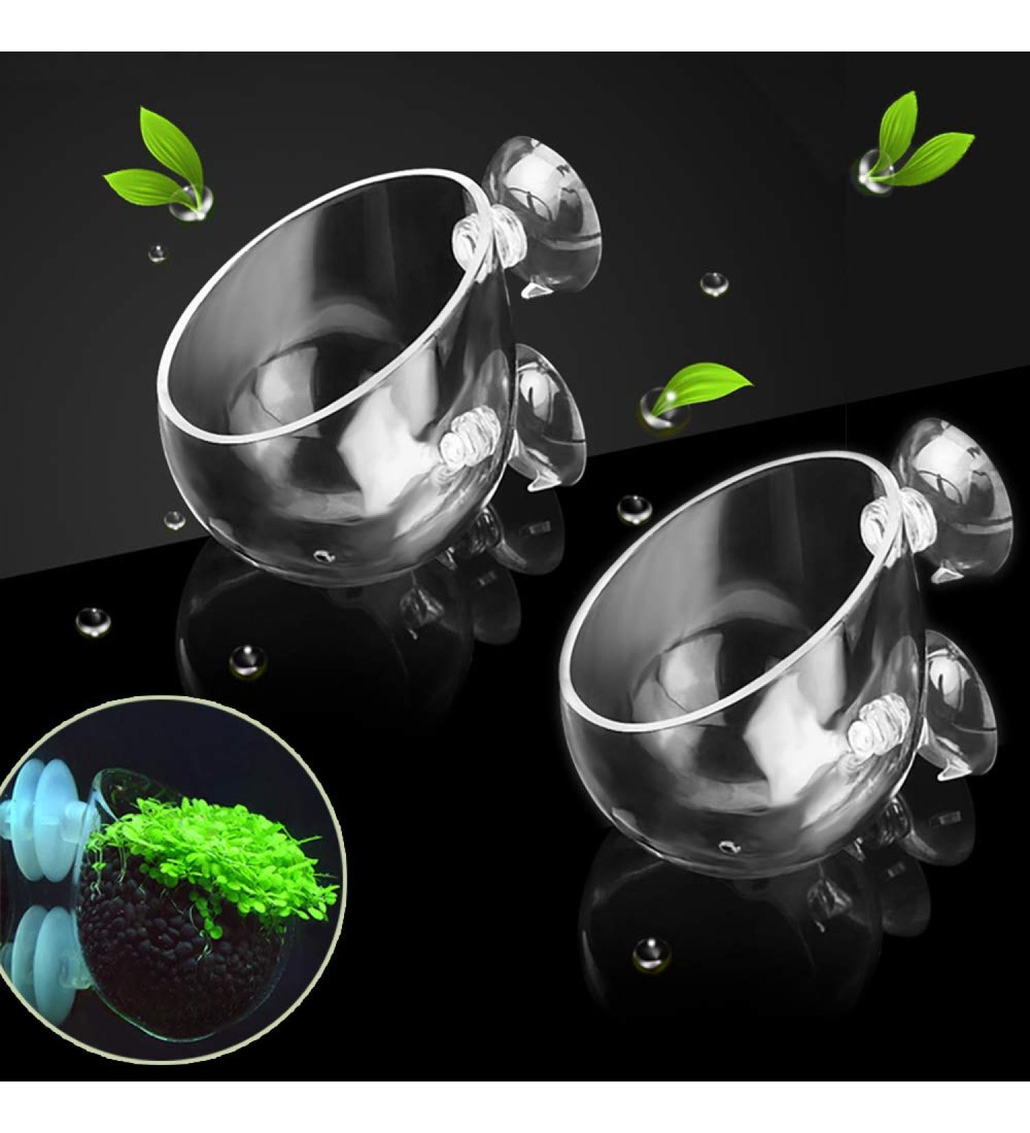 Capetsma Crystal Glass Aquatic Plant Pots - 2 Pack Aquarium Planter for Red Shrimp, Live Plants, Fish Tank - Suction Cups for Aquascape Decoration - Buy Online on GoSupps.com
