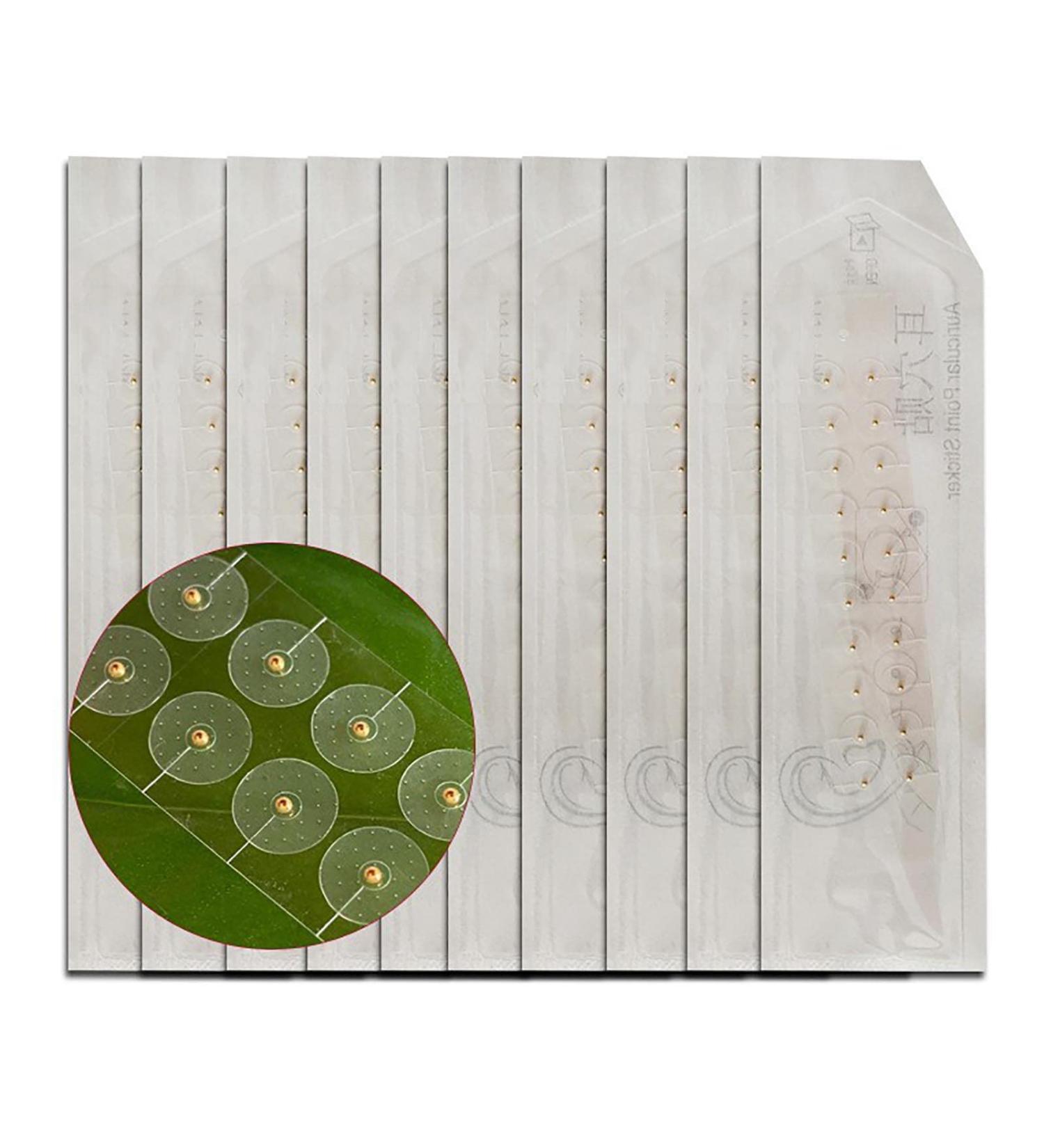 Shop Ear-Seed Acupuncture Set | Acupressure Patch & Massage Tools for Facial Reflex Zone | International Shipping - Buy Online on GoSupps.com