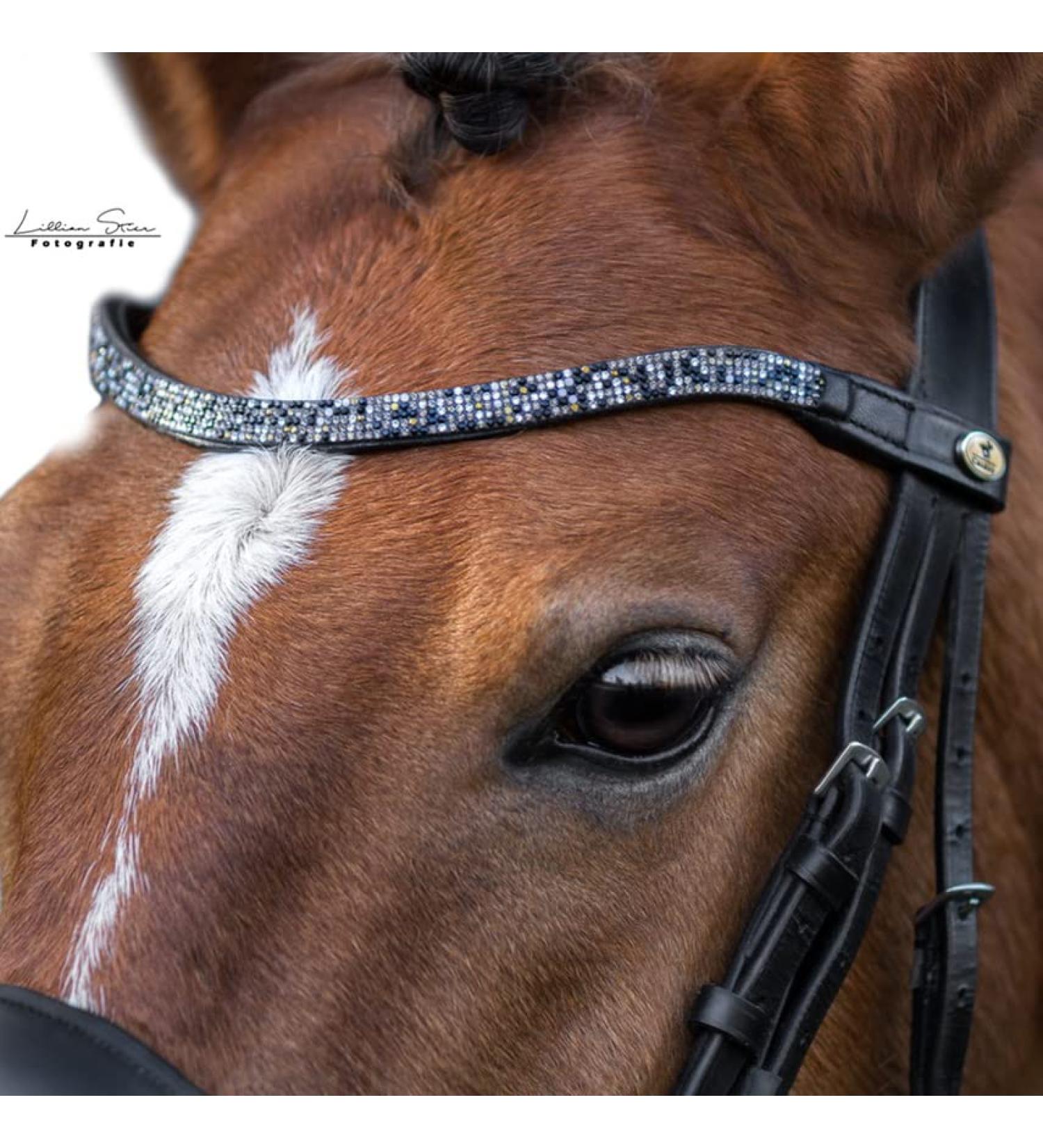 CALEVO - curved browband Twinkle black-sunflower WBextra-overs.