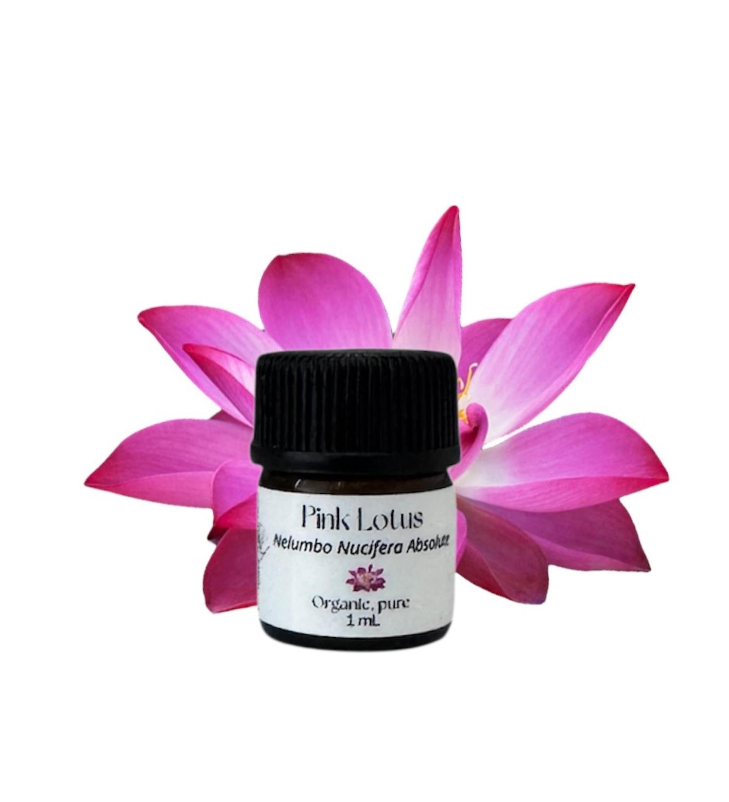 Pink Lotus Absolute Oil Organic Pure Natural 1 mL - Buy Online on GoSupps.com