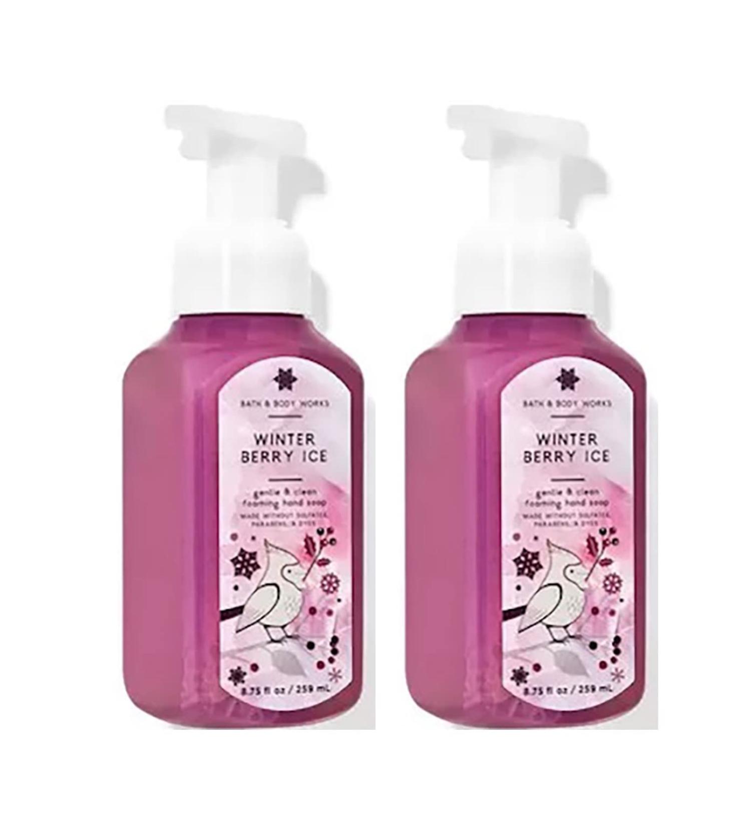 Bath and Body Works Gentle Foaming Hand Soap 8.75 Ounce 2-Pack (Winterberry Ice)