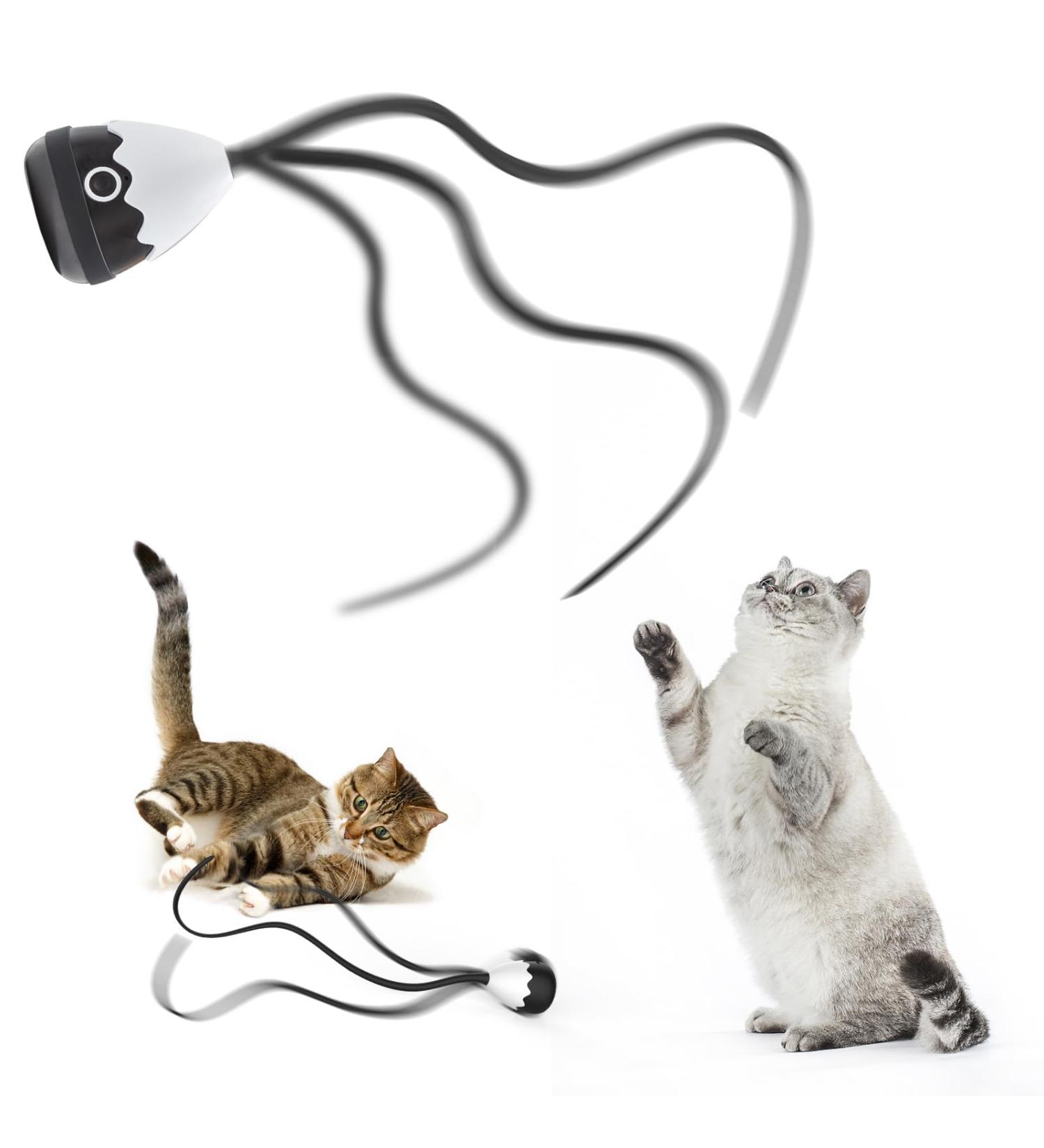 Lifefav 2-in-1 Cat Toys - Interactive Automatic Silicone Tail & Rechargeable Railway Toys for Kittens | Ships Internationally - Buy Online on GoSupps.com