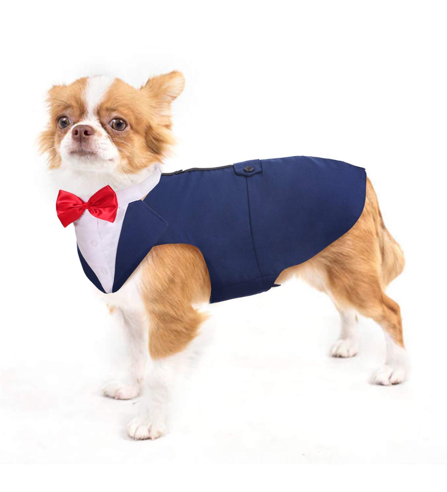 Shop Dog Smoking Suit & Bandana Set - Formal Pet Clothing for Weddings Birthdays & Holidays - Adjustable Tie Shirt (Blue Size S) - Buy Online on GoSupps.com