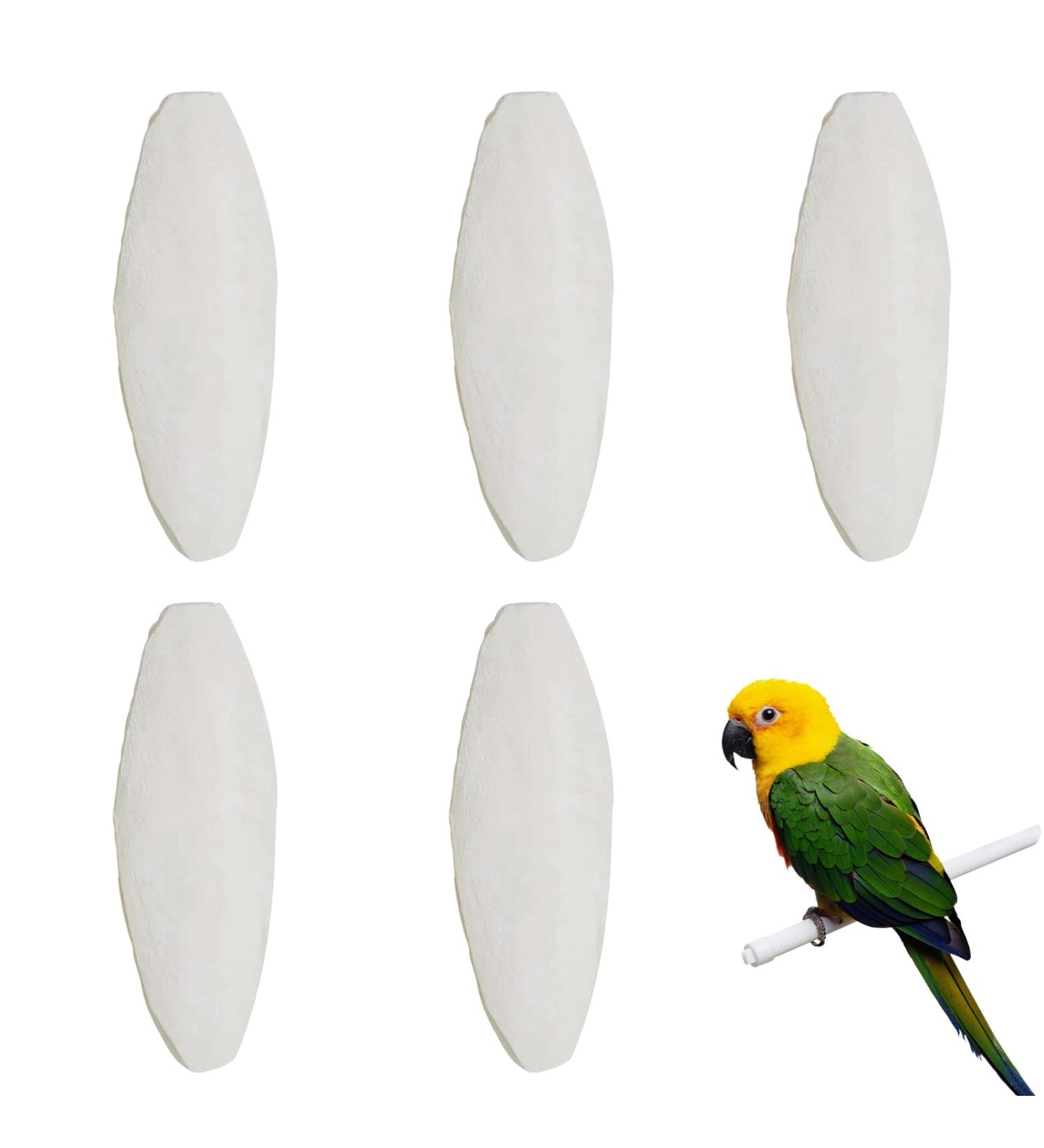 5pcs Small Cuttlefish Bone for Parrots | Natural Calcium Chew Toy for Birds - Buy Online on GoSupps.com