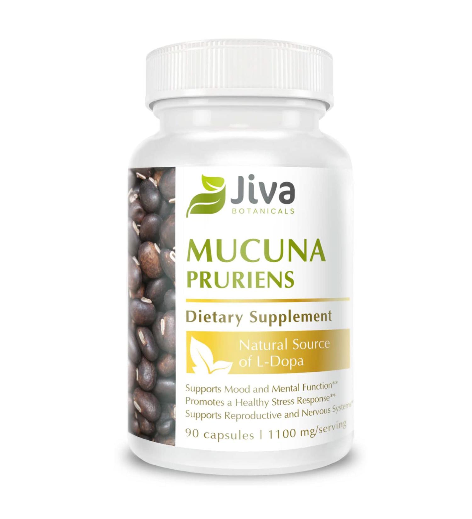 Mucuna Pruriens Capsules 1100mg - Dopamine Support Supplement - Velvet Beans with L-Dopa - 90 Capsules - Buy Online on GoSupps.com