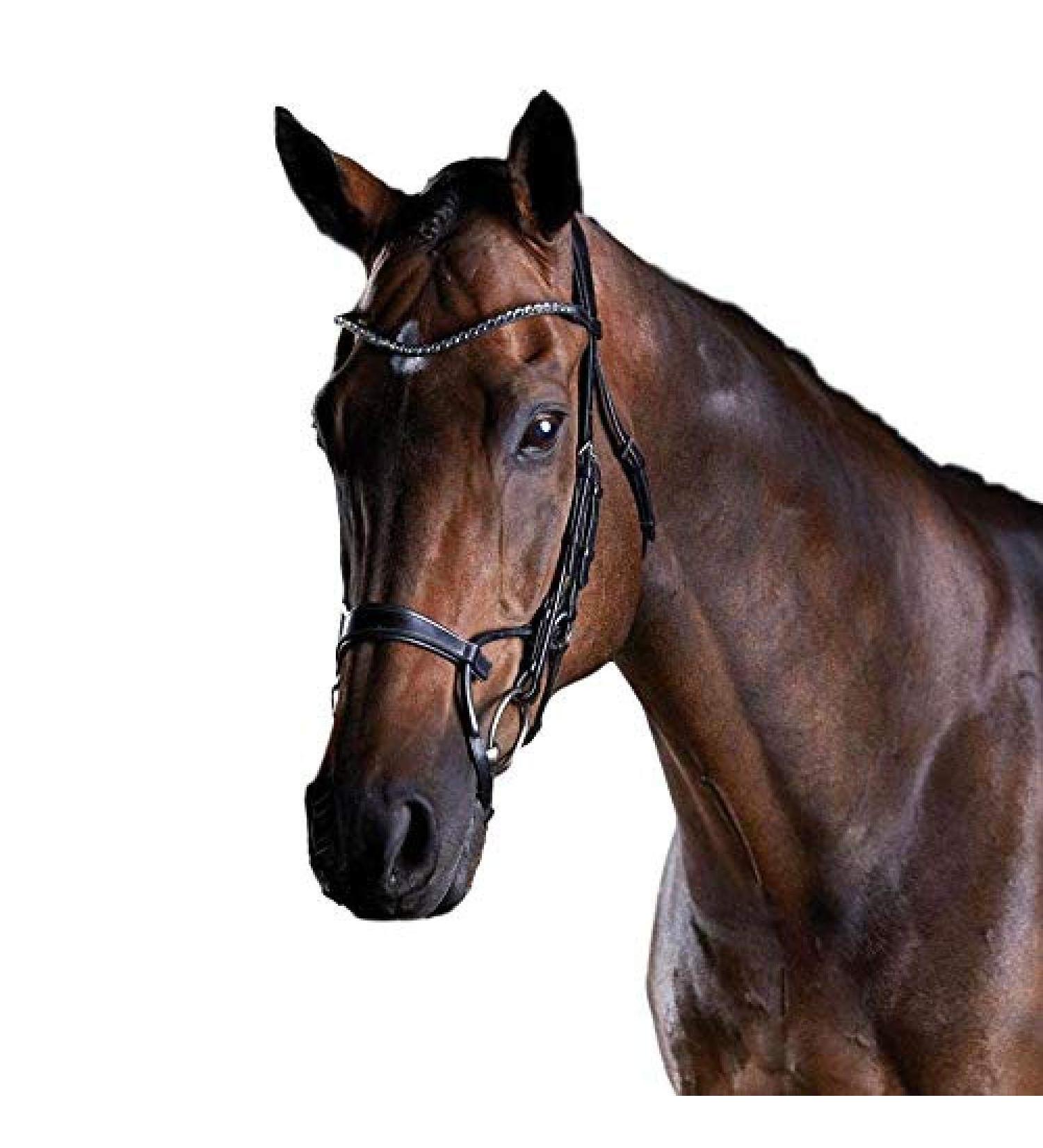 Collegiate 2021 Comfitec Crystal Bridle 80770 - Black - Cob | Premium Equestrian Gear - International Shipping Available - Buy Online on GoSupps.com