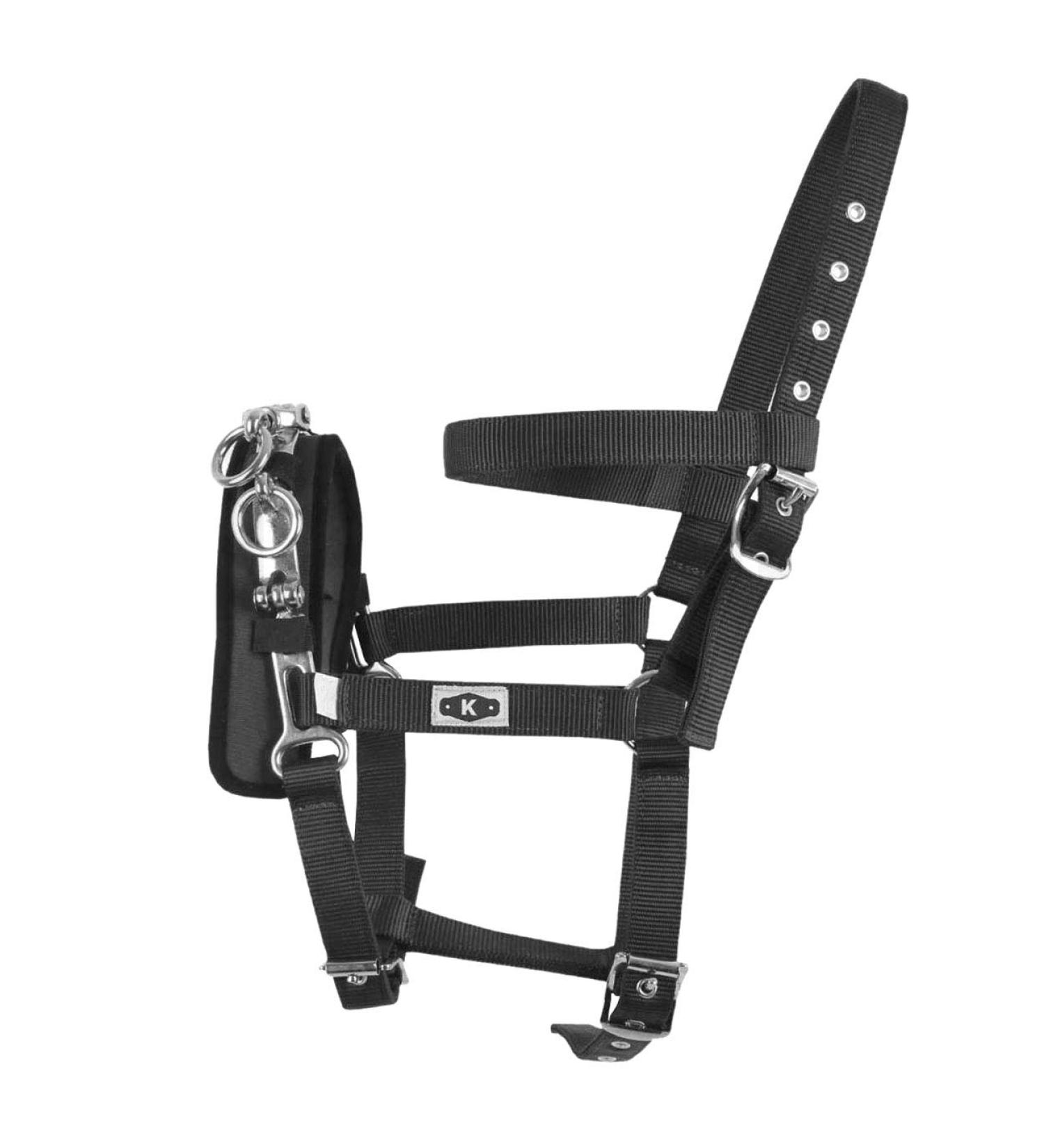Kincade Coordinate Longe Cavesson (Full) (Black) - Buy Online on GoSupps.com