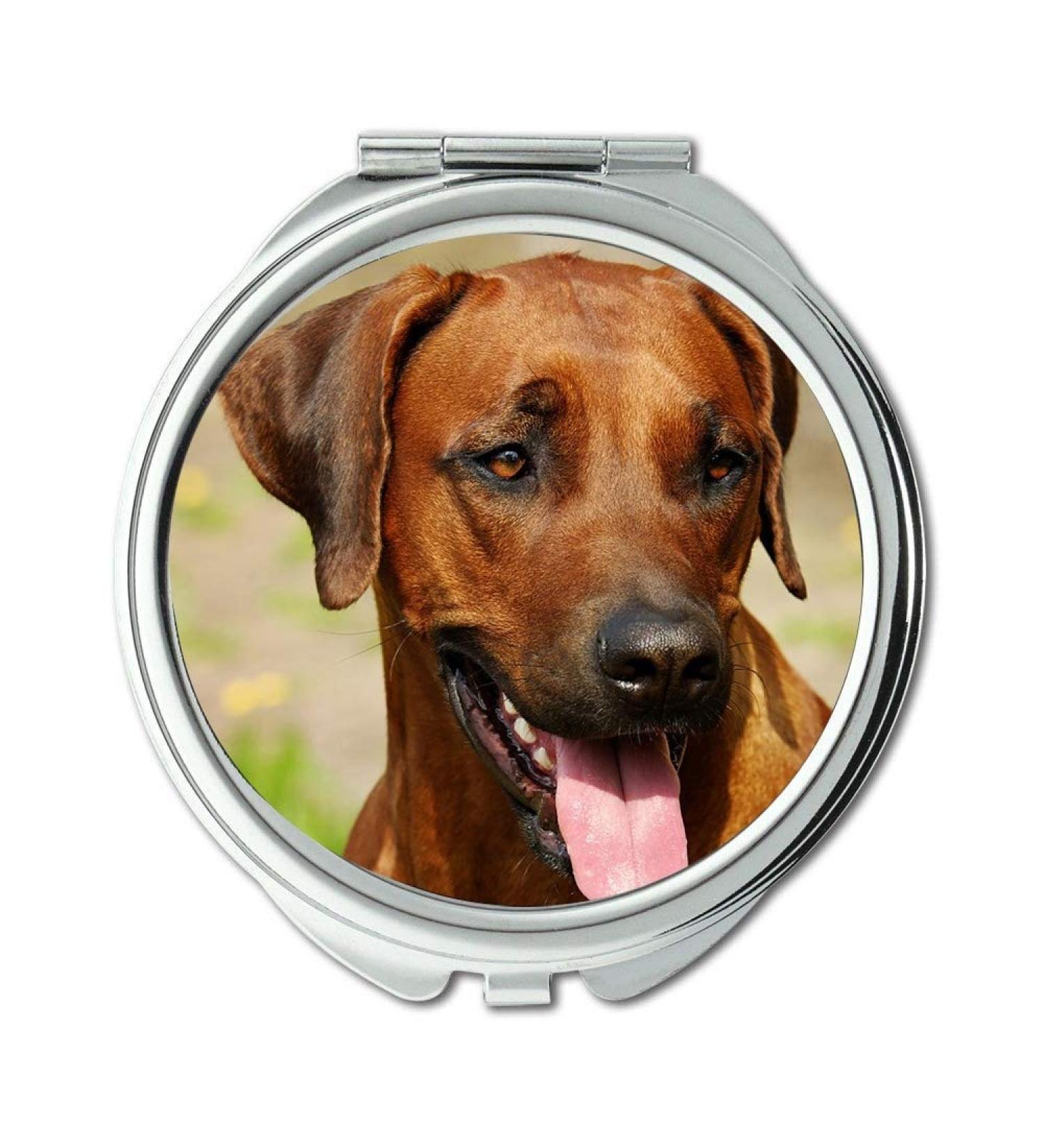 YENDOSTEEN Mirror Travel Mirror Rhodesian Ridgeback Dog Fur Brown Shiny Head Eyes Pocket Mirror portable mirror - Buy Online on GoSupps.com