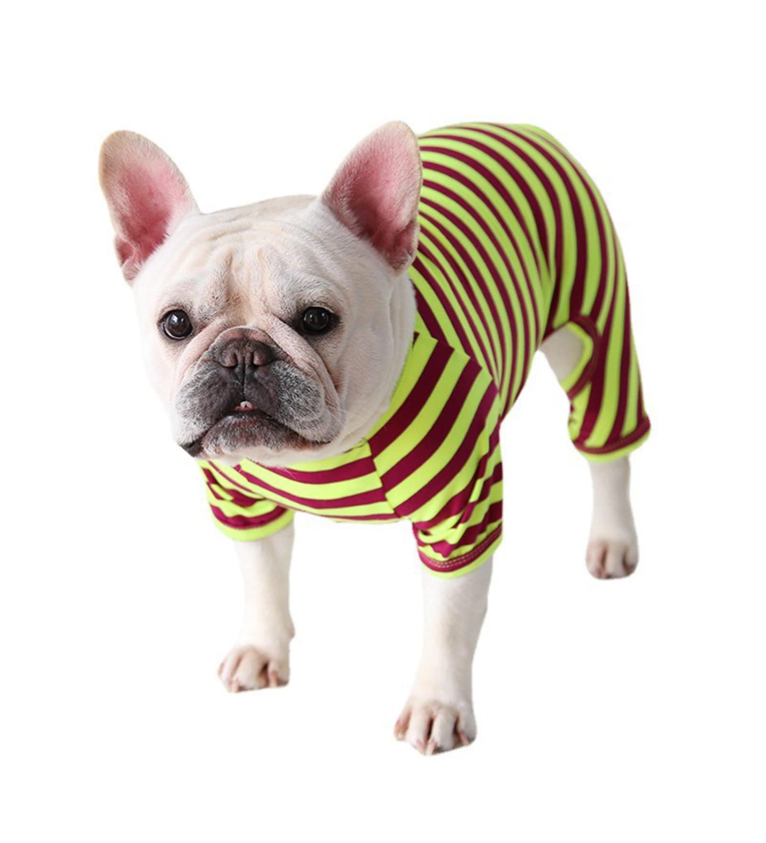 BT BEAR Colorful Striped Pajamas for Dogs - Soft Cotton One-Piece Costume for Small & Medium Bulldogs - Size M Green/Purple - Buy Online on GoSupps.com